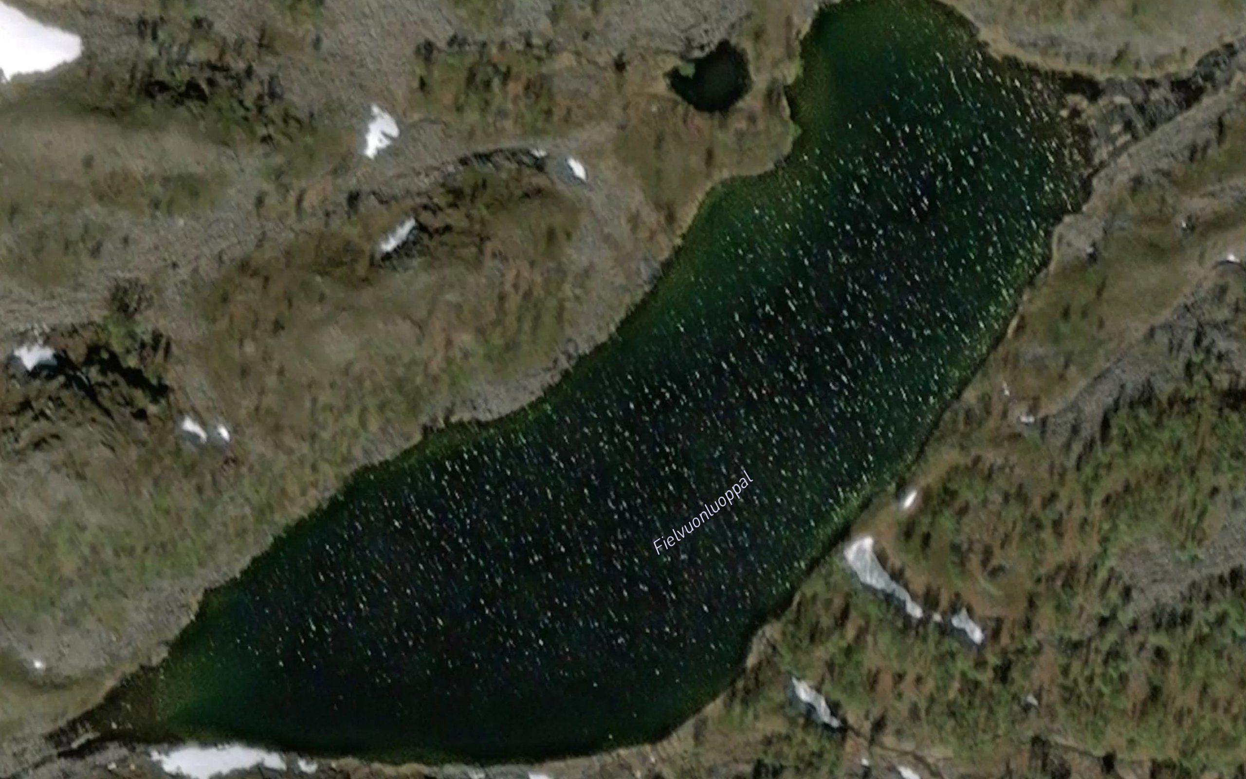 Fiervuonluoppal