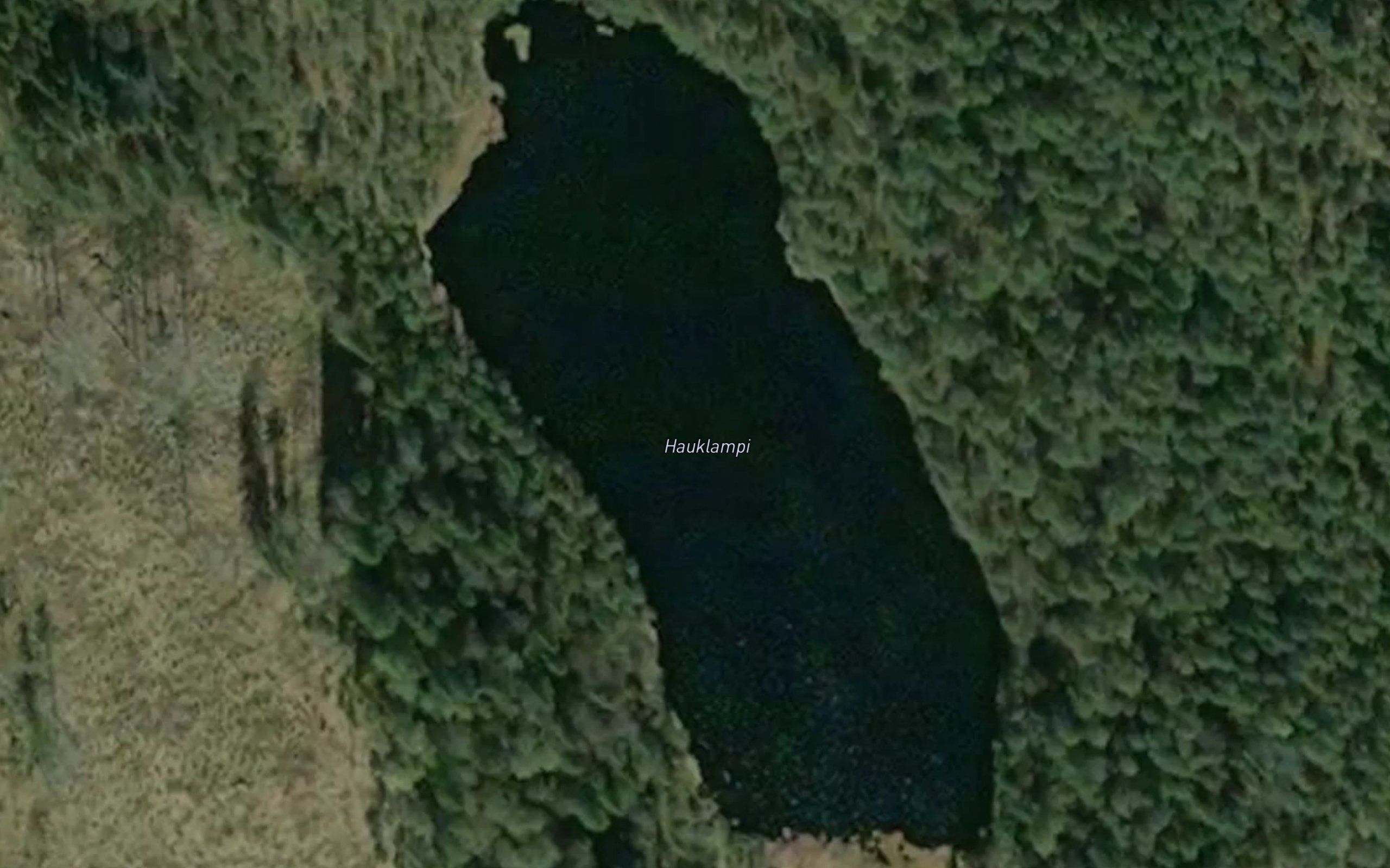 Hauklampi