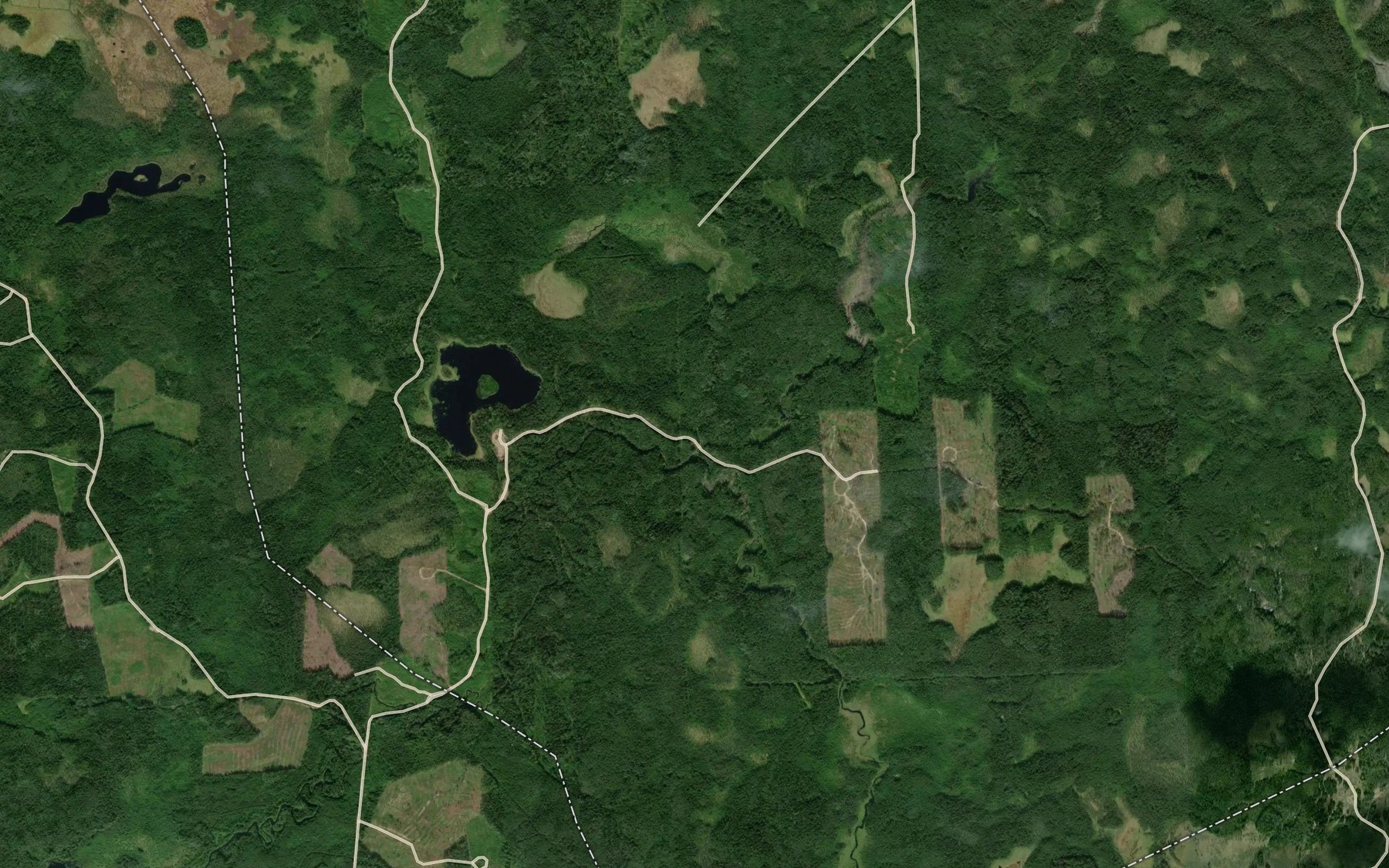 Satellite map of the Ruchey Kamennyy