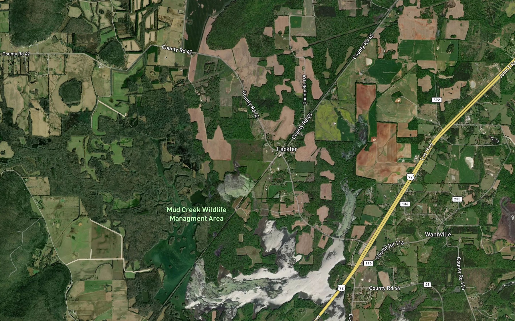 Satellite map of the Blue Spring
