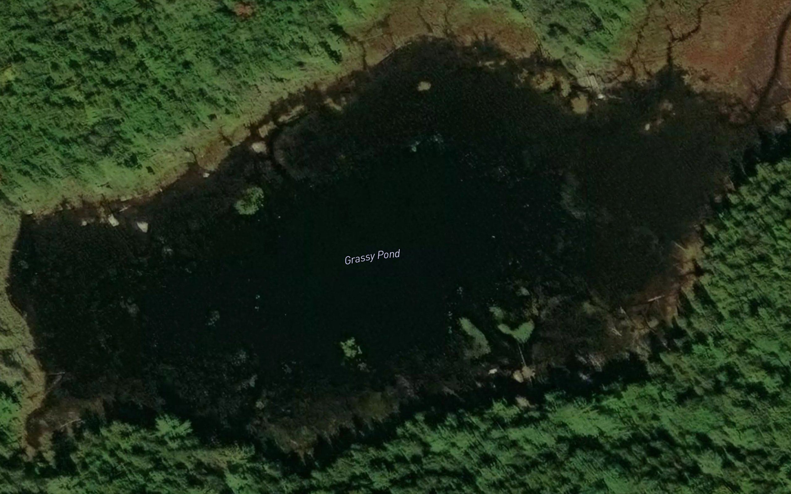 Grassy Pond