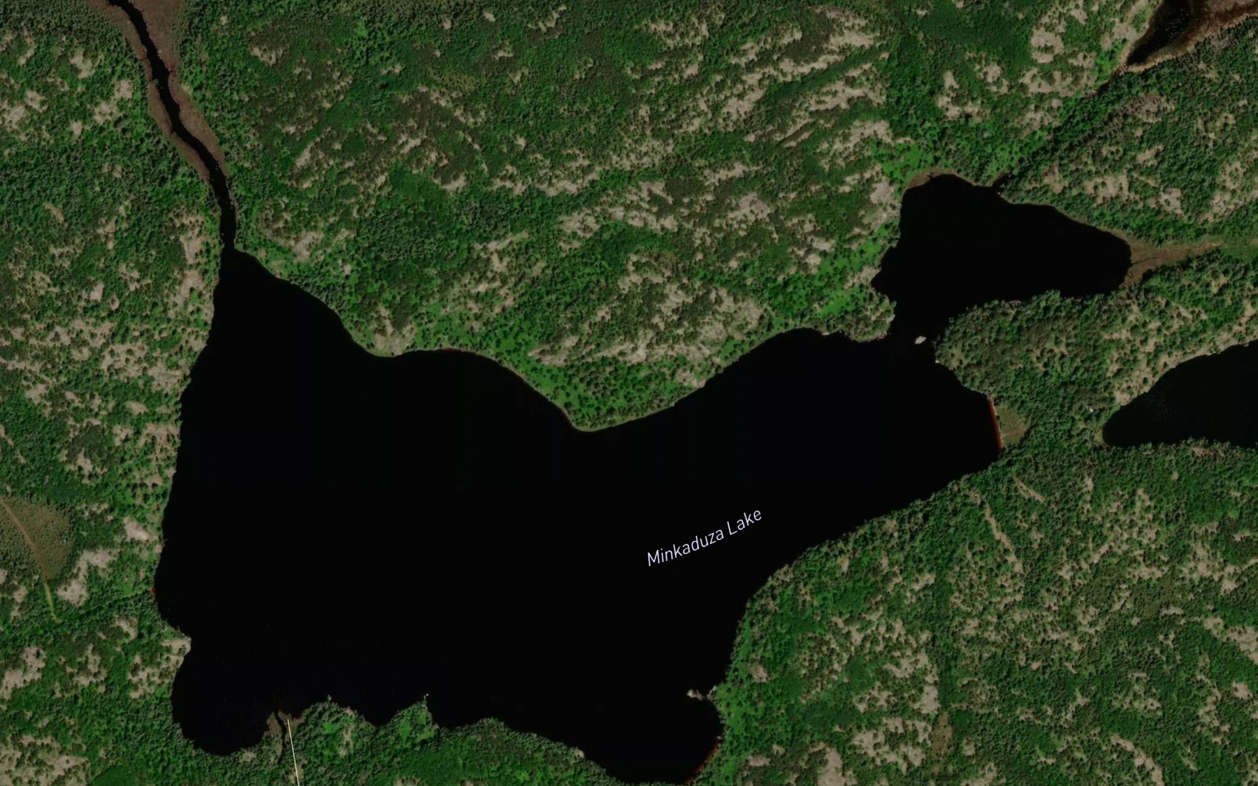 Satellite map of the Minkaduza Lake