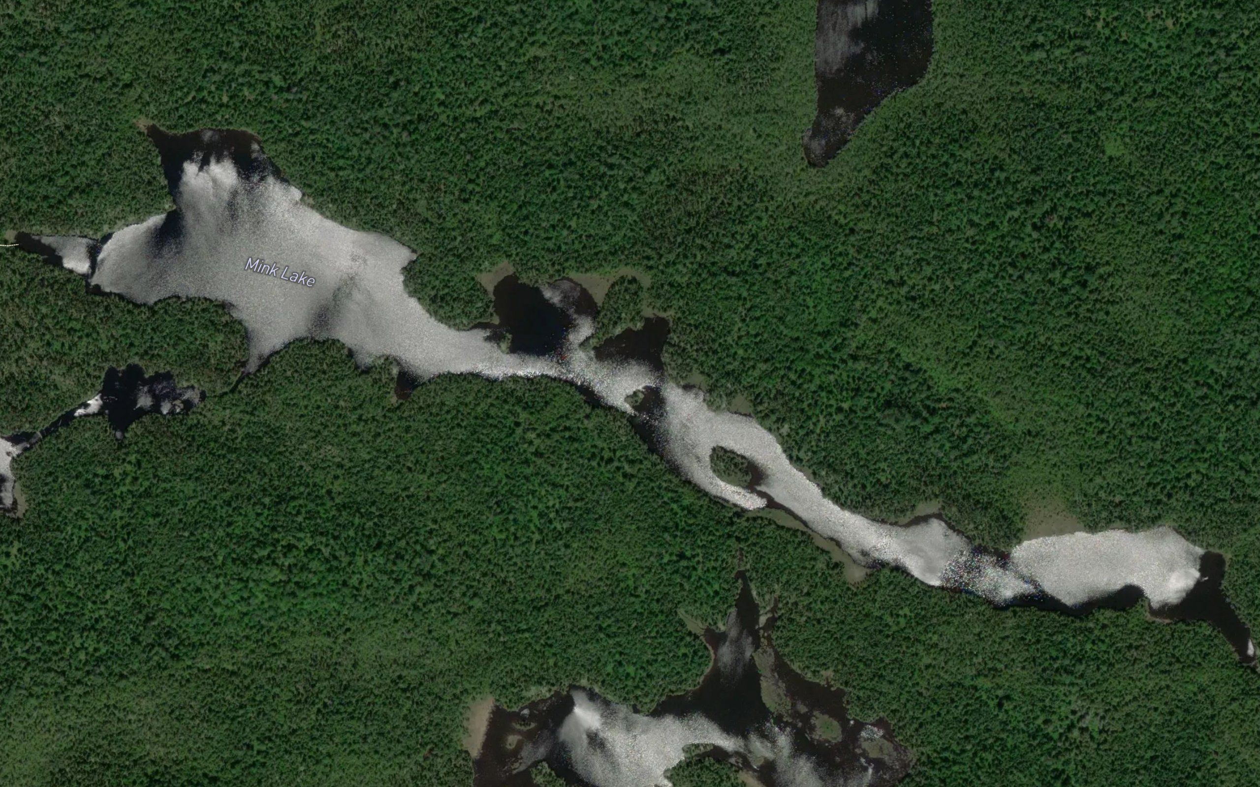 Mink Lake