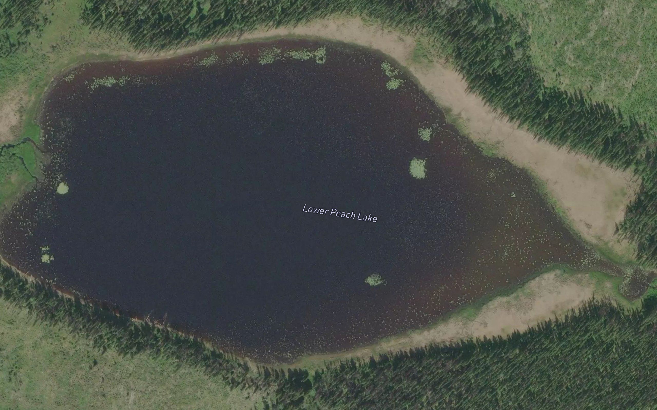 Lower Peach Lake