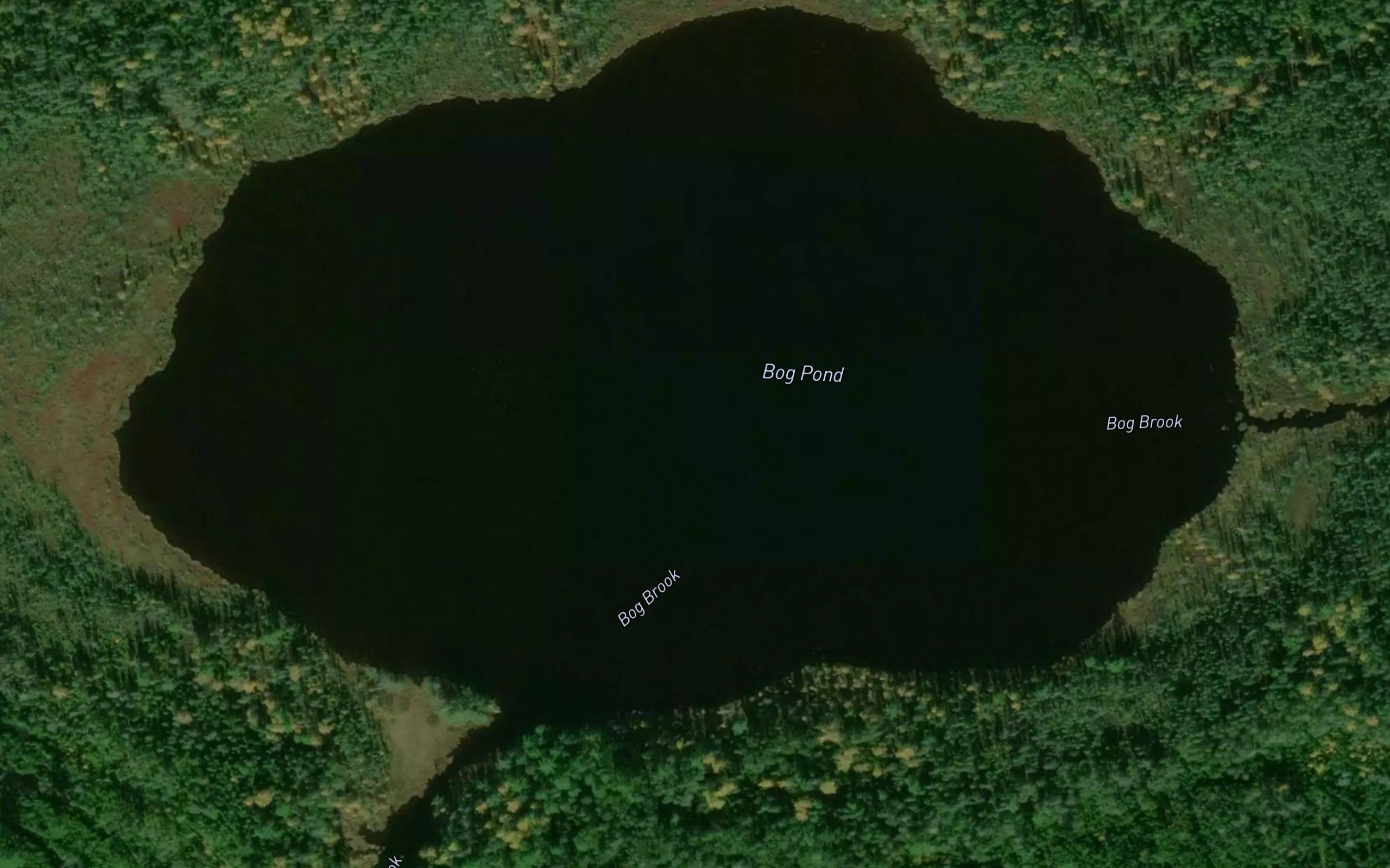 Bog Pond