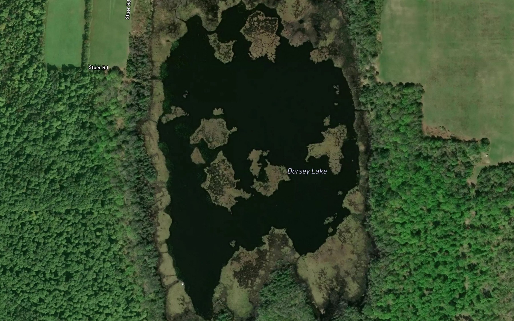 Satellite map of the Dorsey Lake