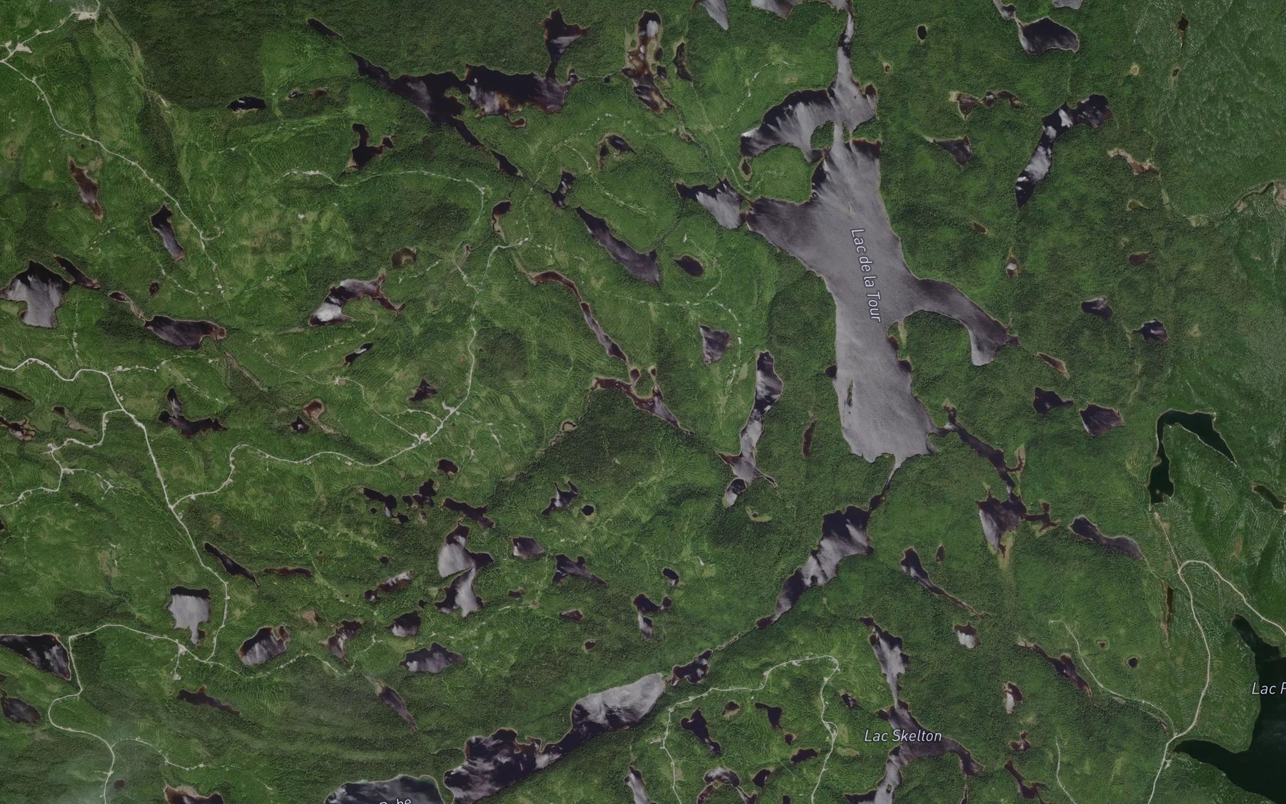 Satellite map of the Lac Wellington