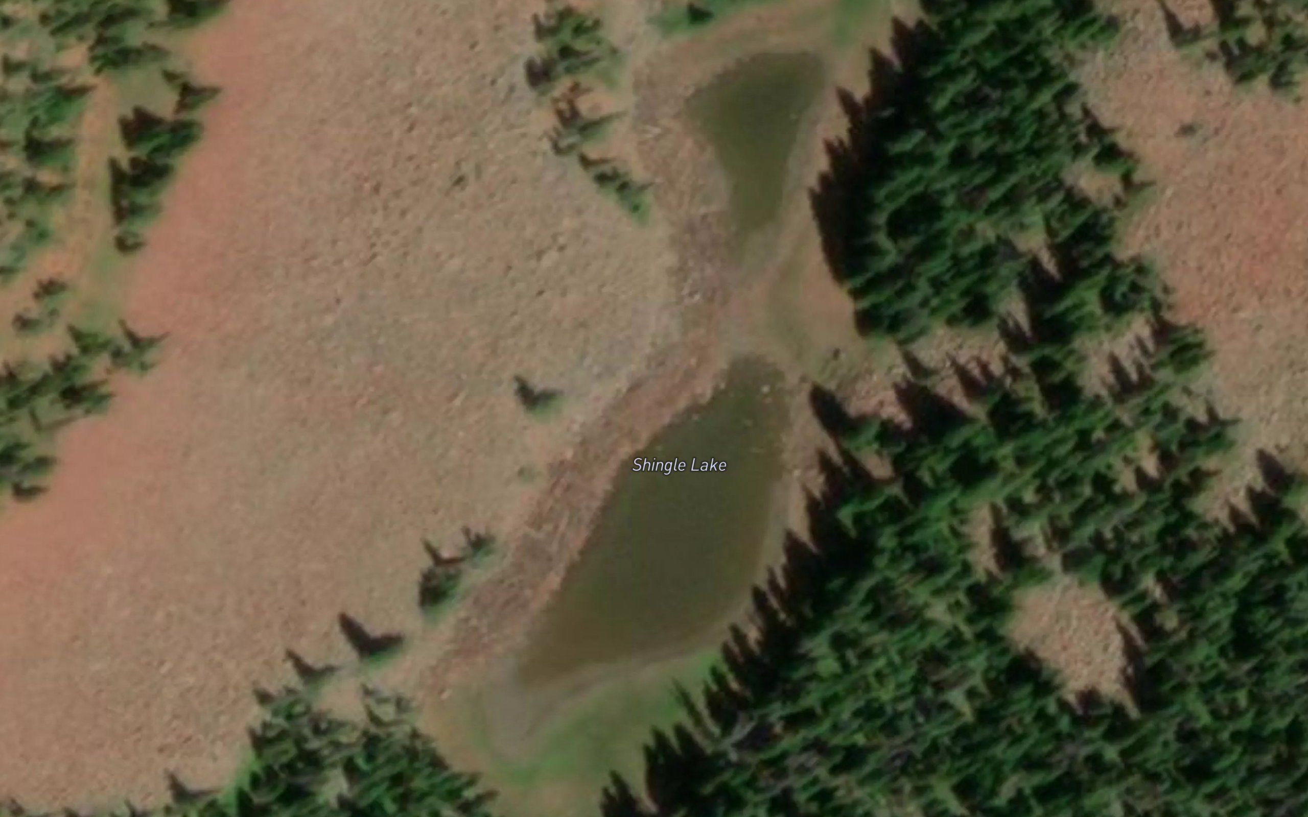 Shingle Lake