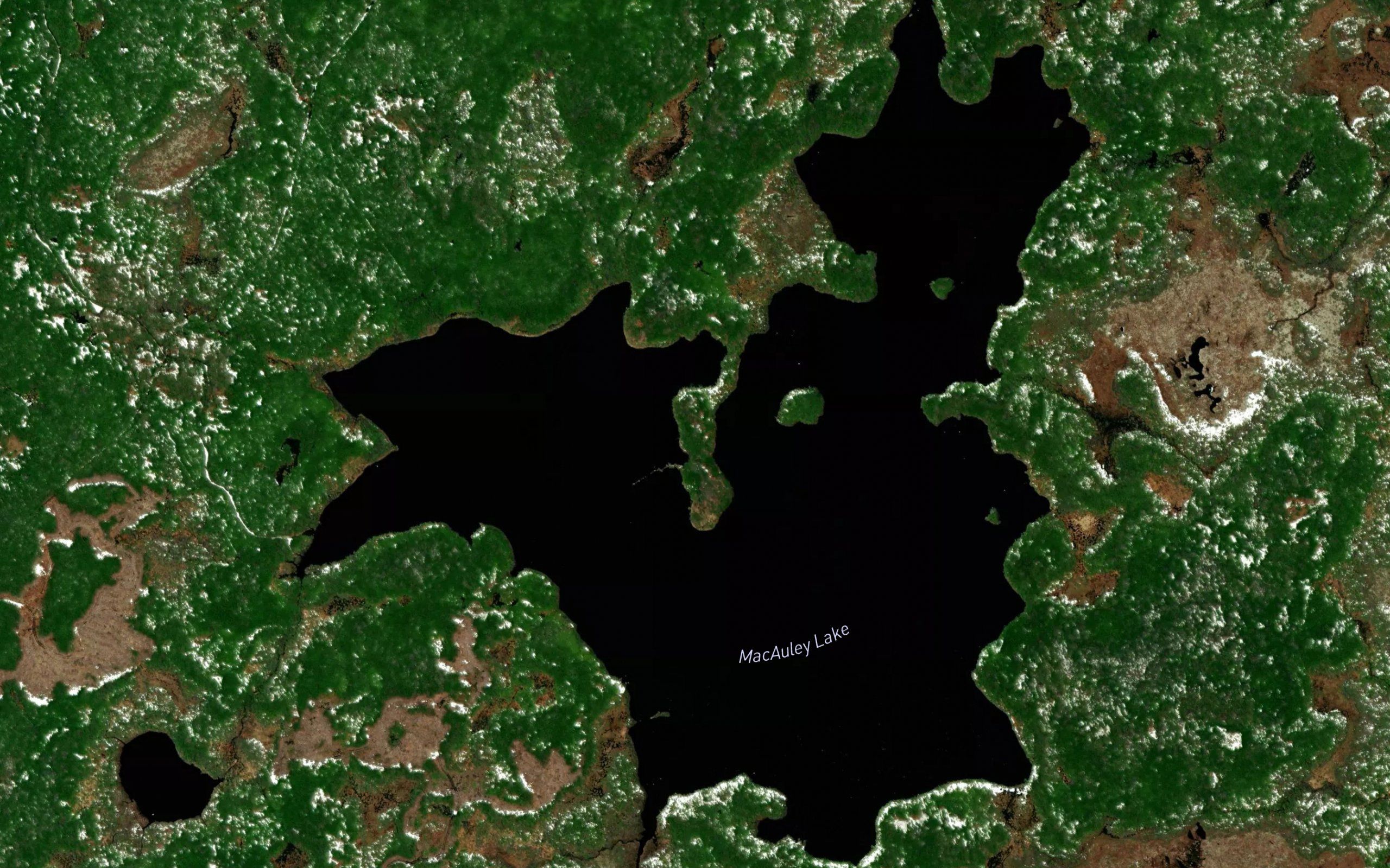 MacAuley Lake