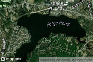 Forge Pond