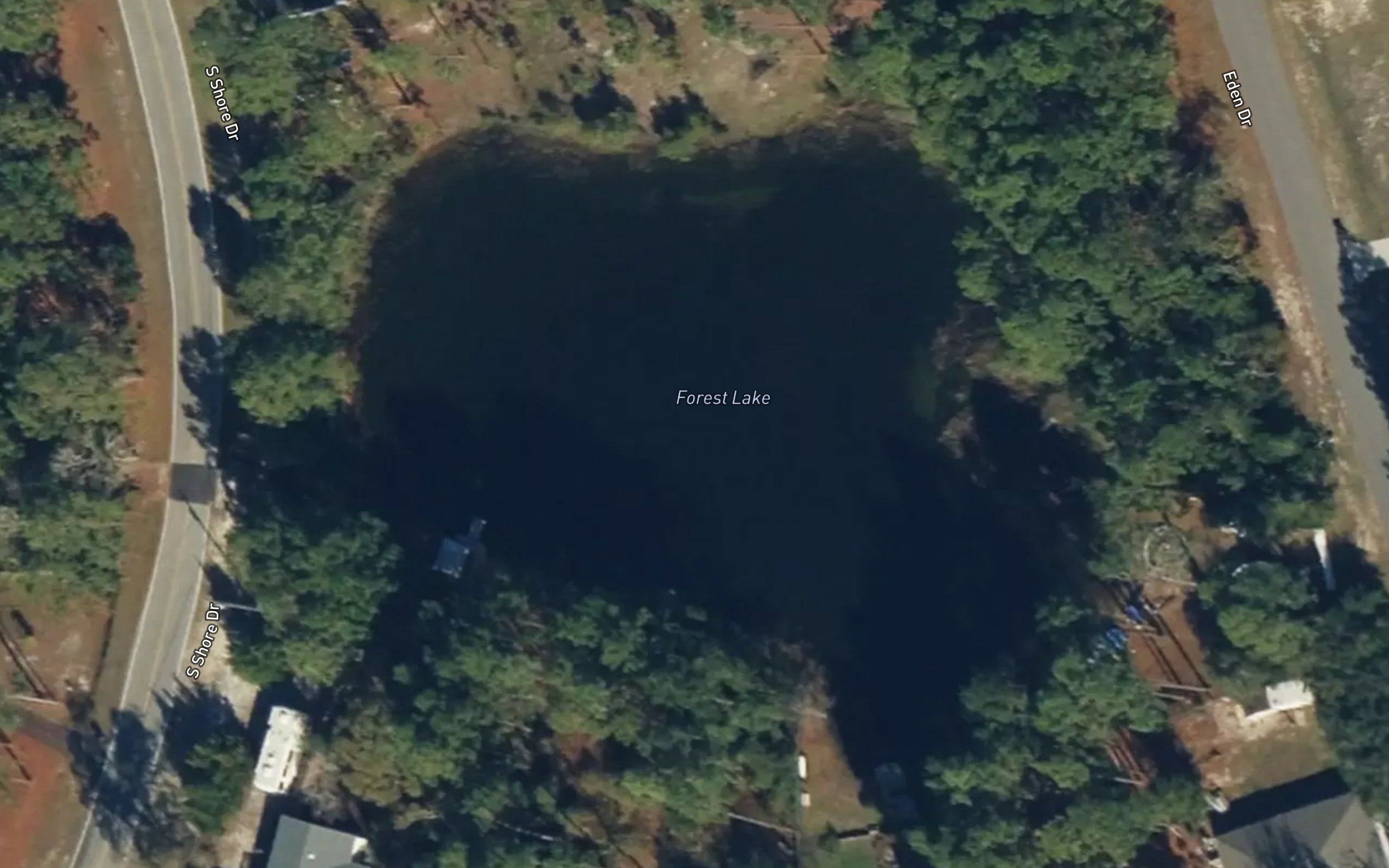 Forest Lake