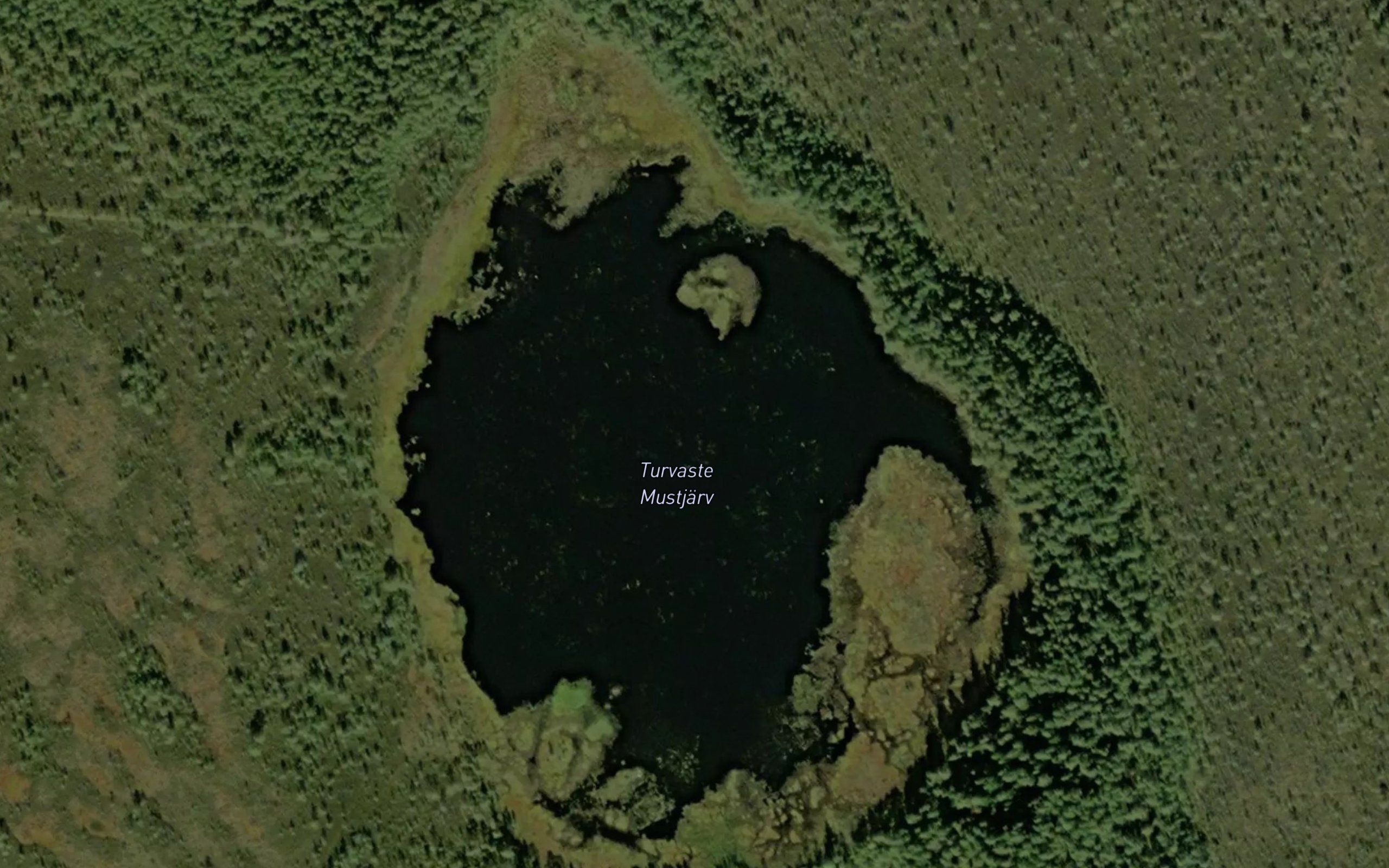 Mustjarv