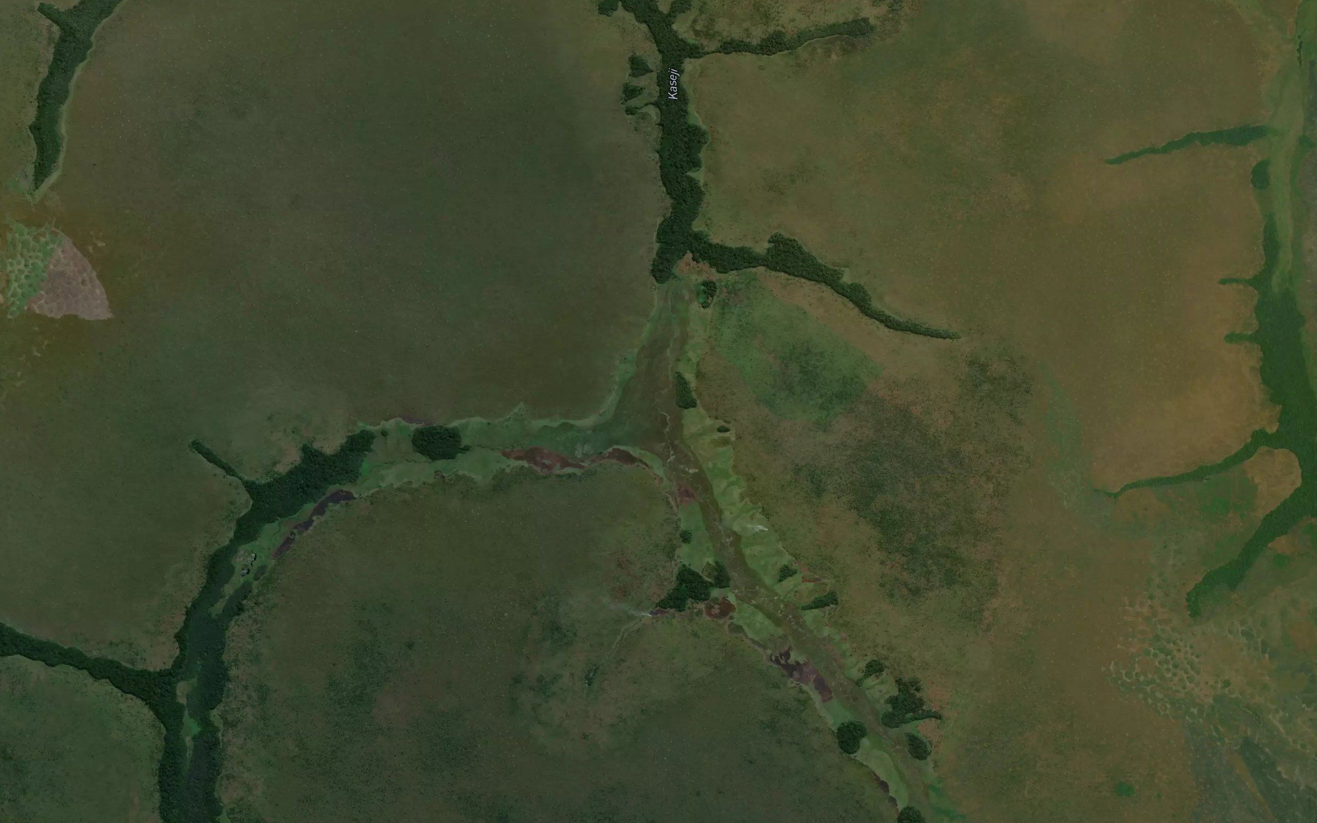 Tshitanambwe