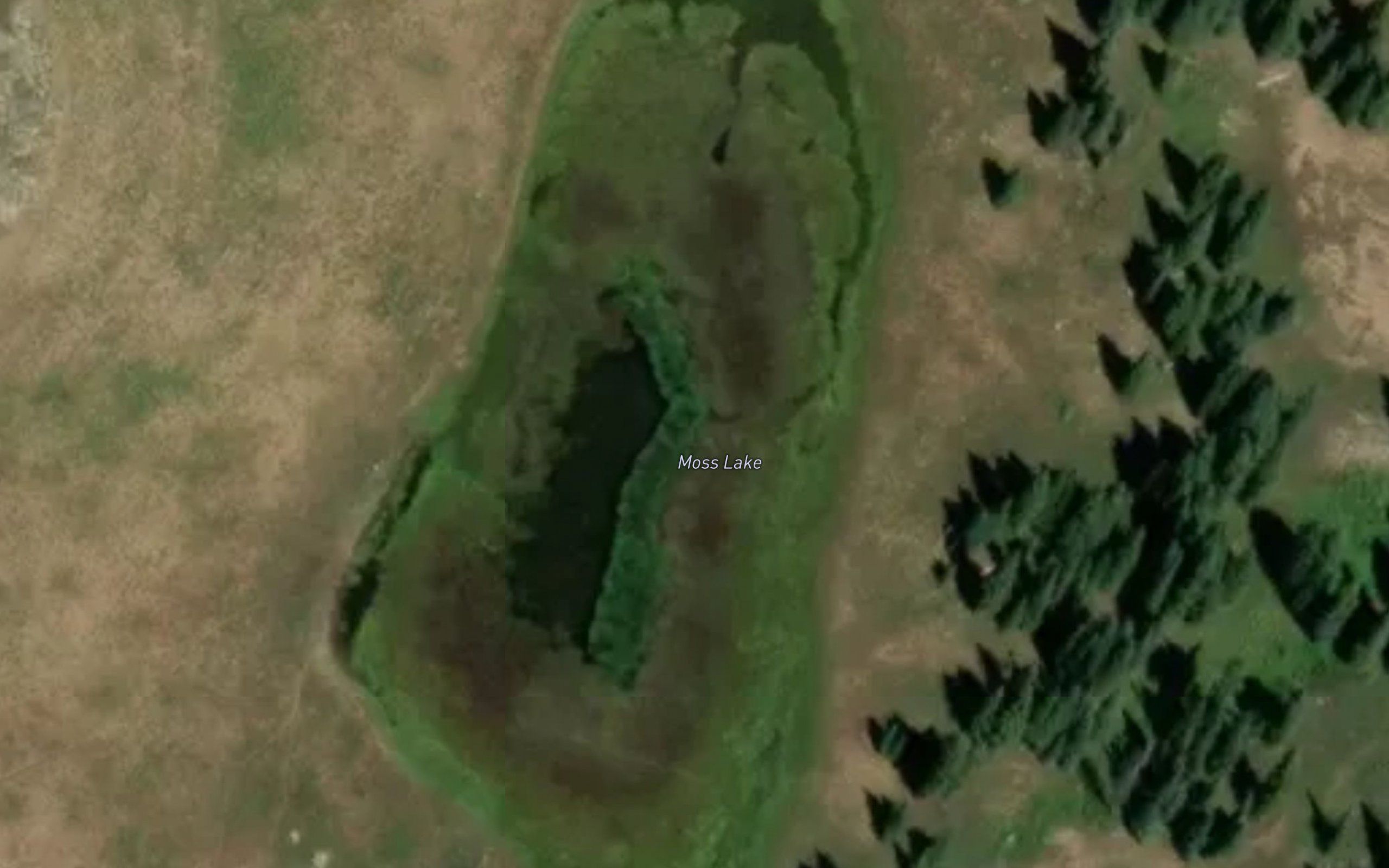 Moss Lake