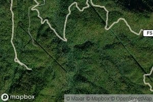 Stinking Camp Branch