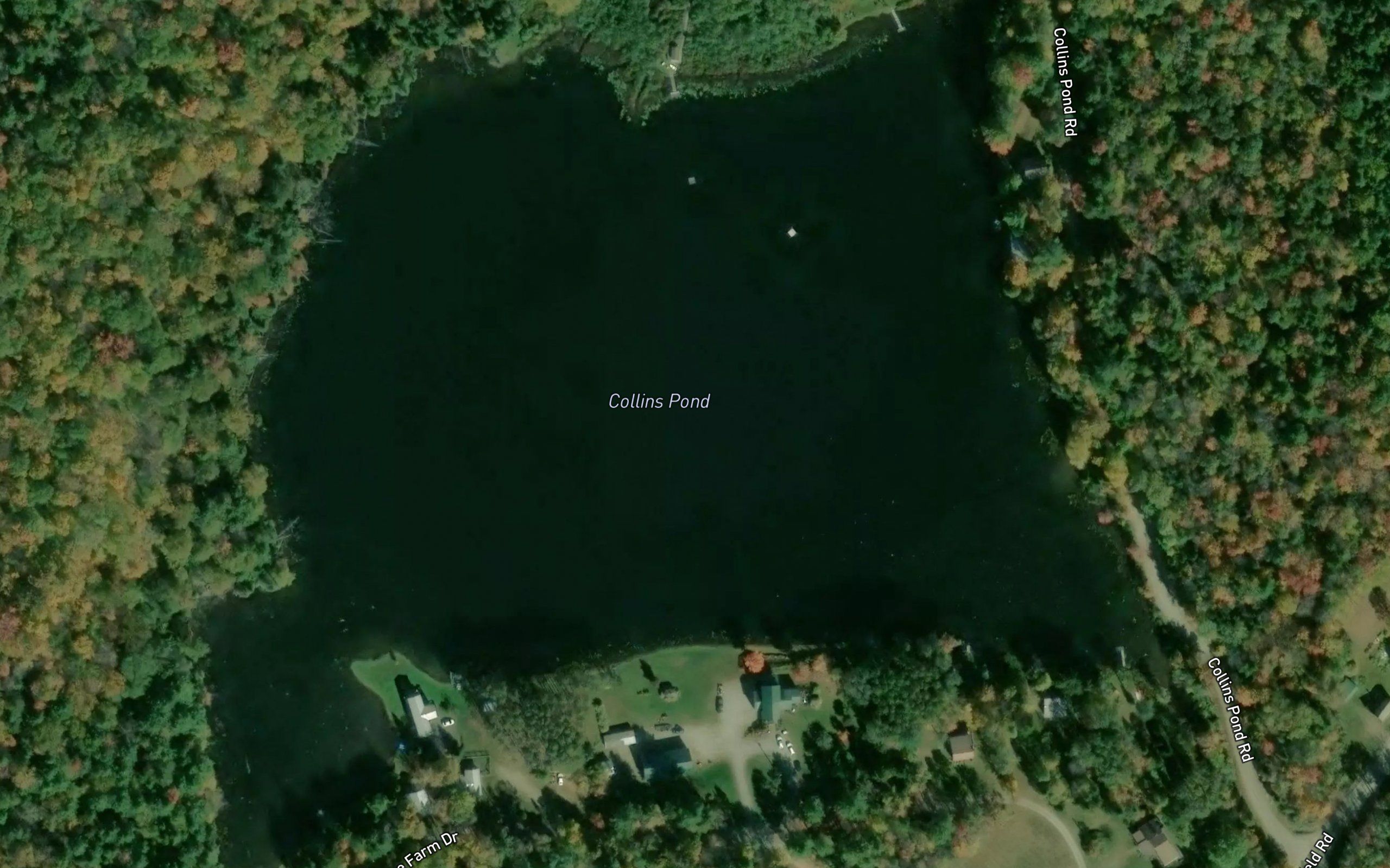 Collins Pond