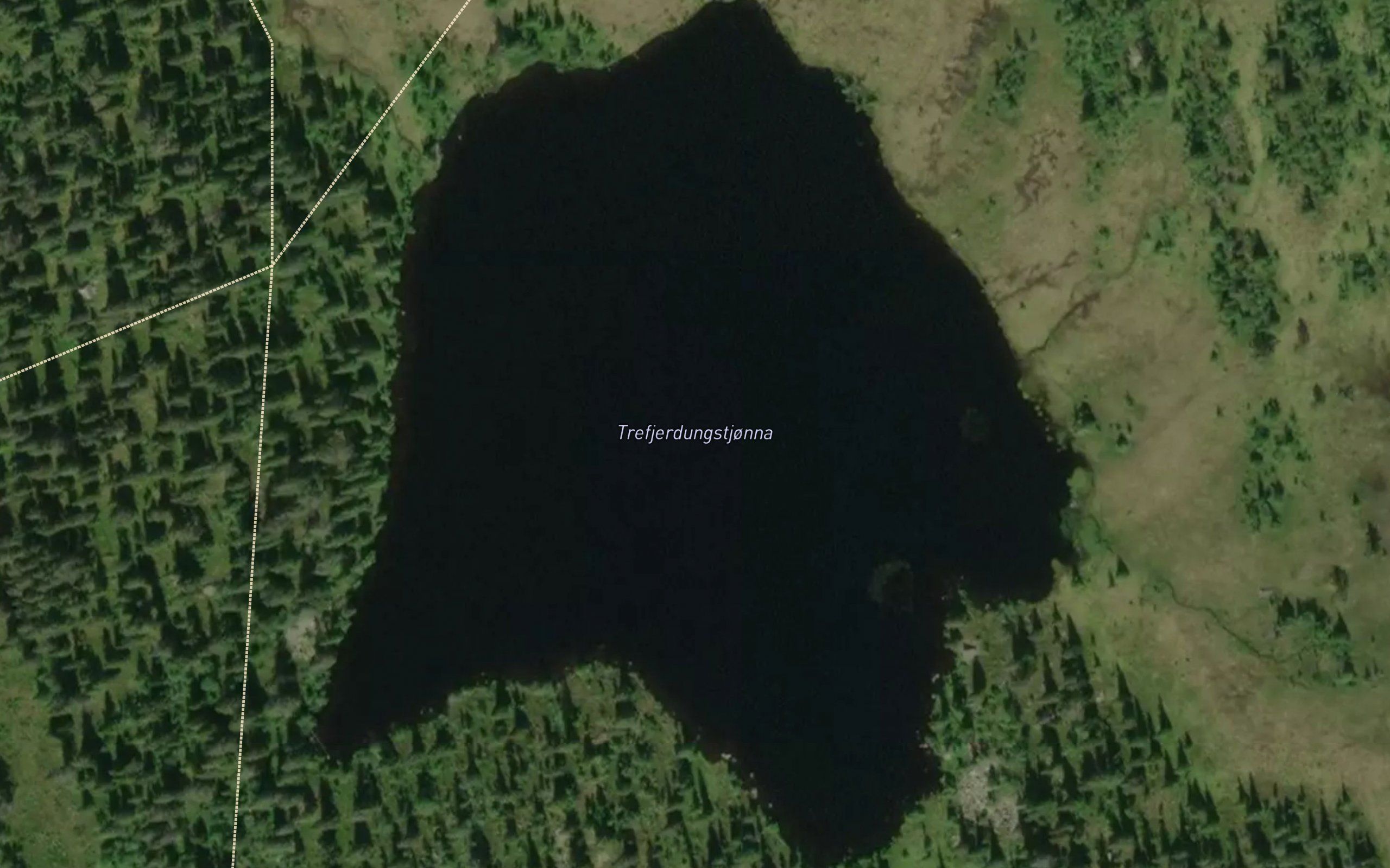 Trefjerdungstjonna