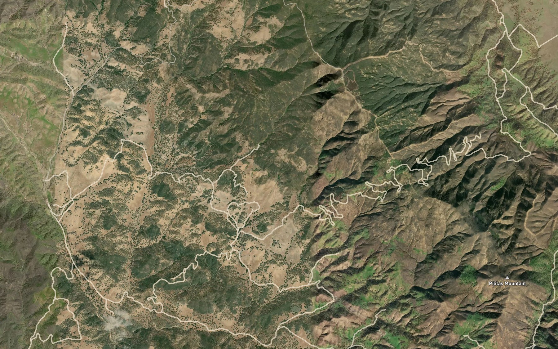 Satellite map of the Bluff Spring