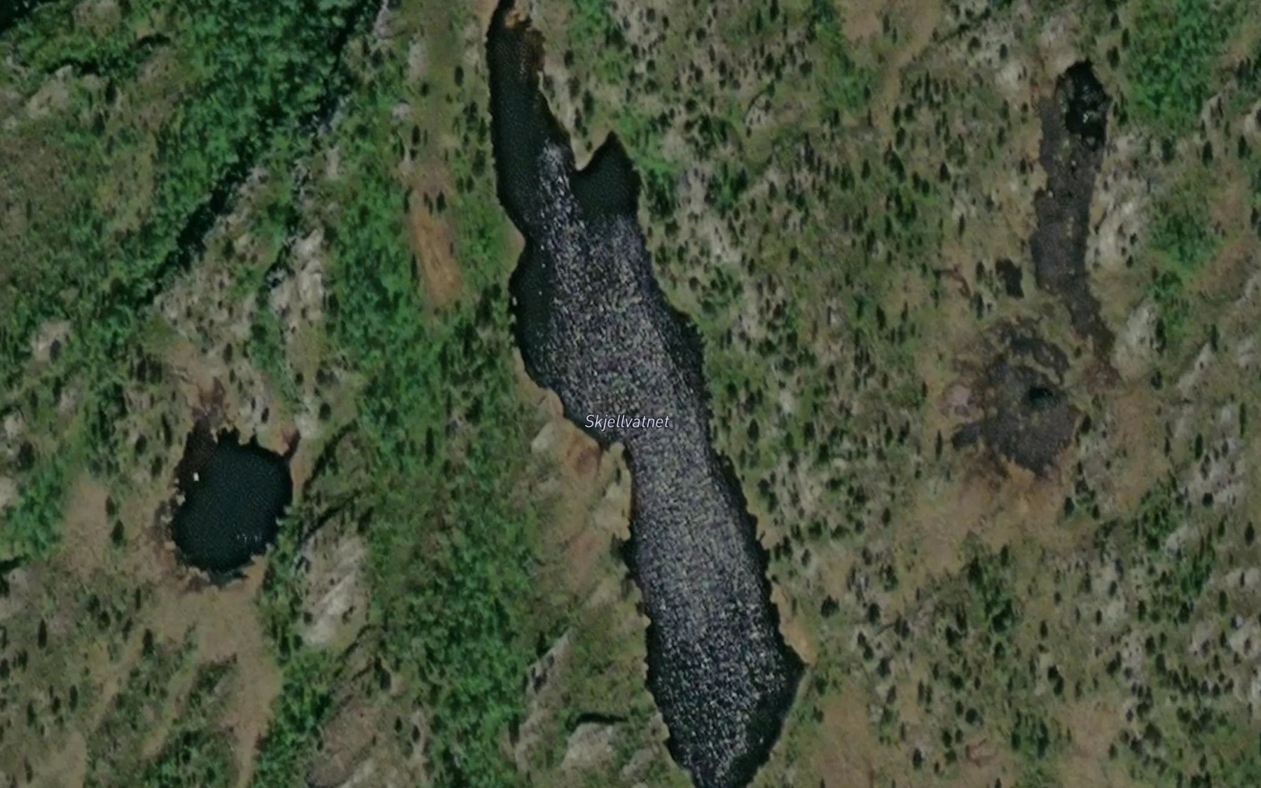 Satellite map of the Skjellvatnet