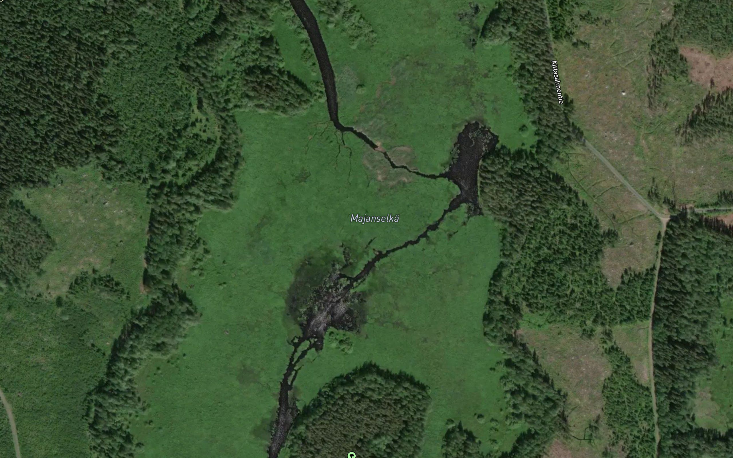 Majanselkae