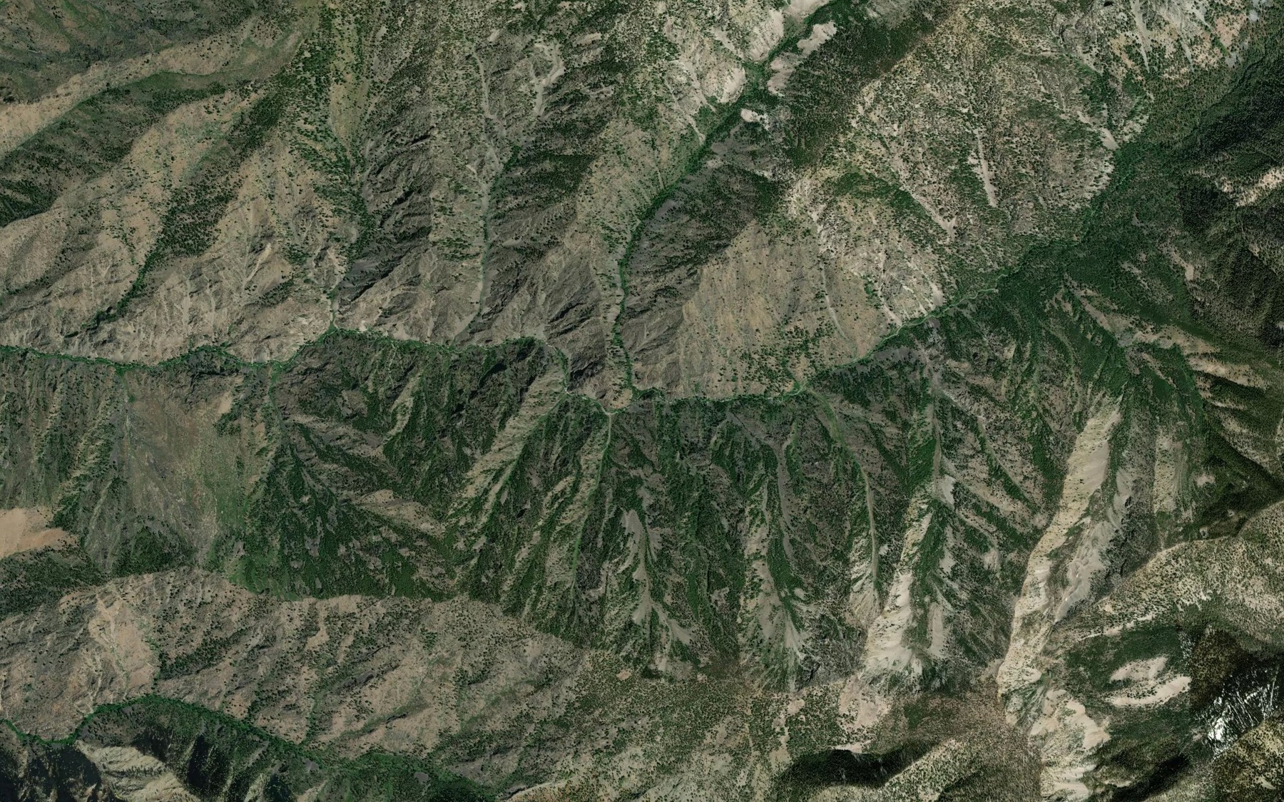 Satellite map of the Alpine Creek