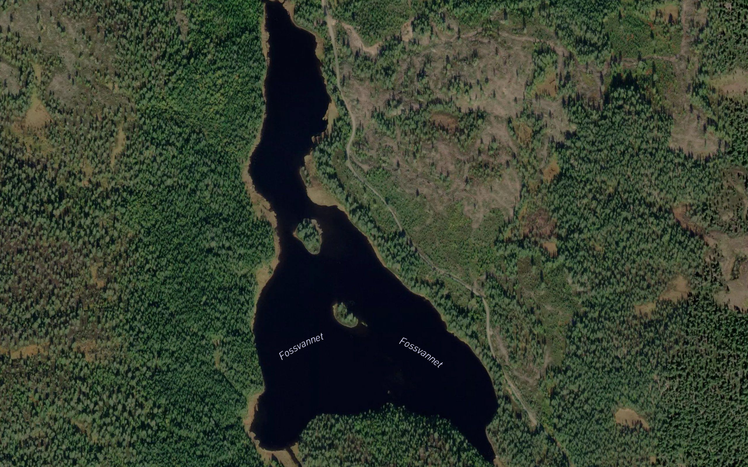 Fossvannet