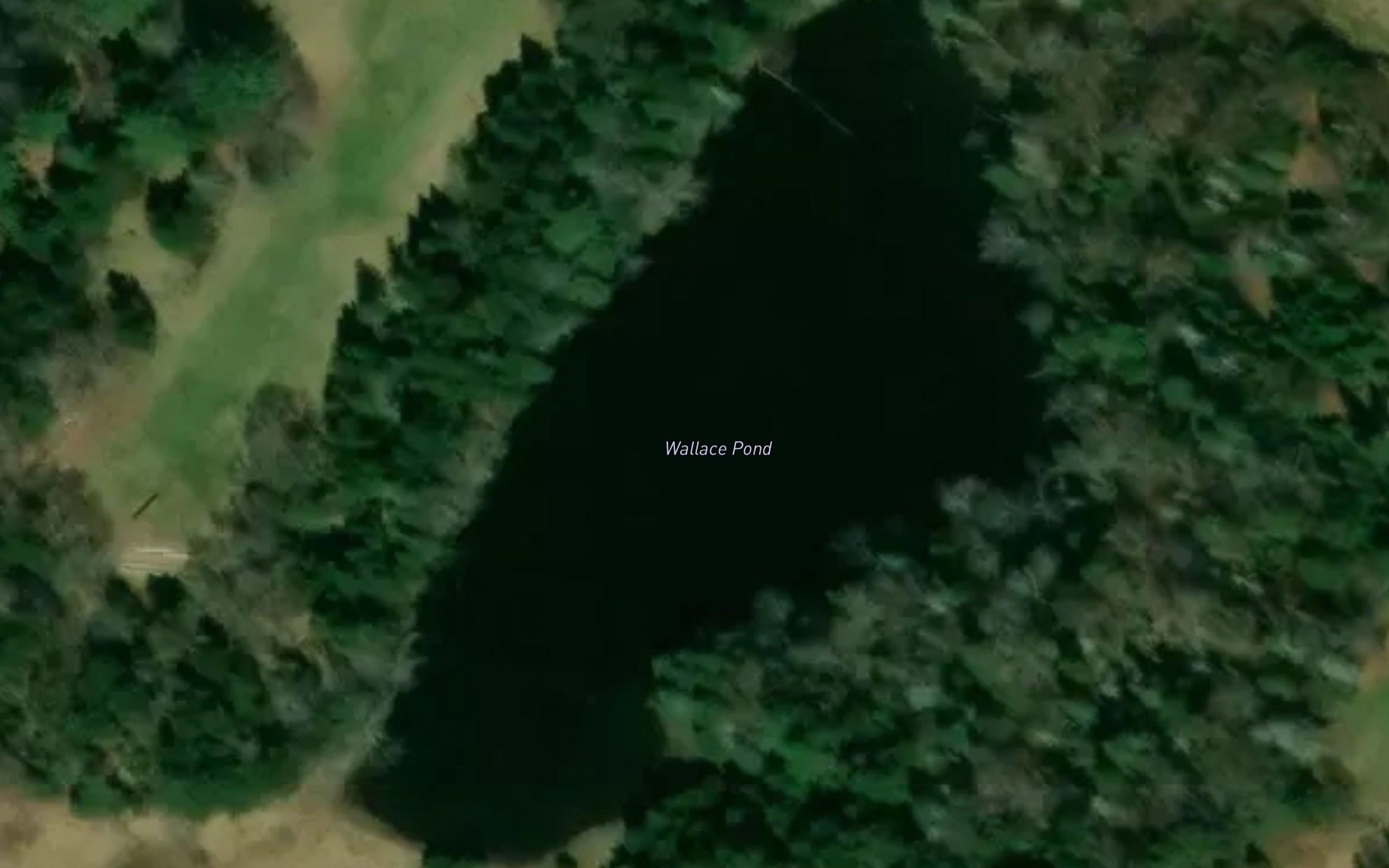 Wallace Pond