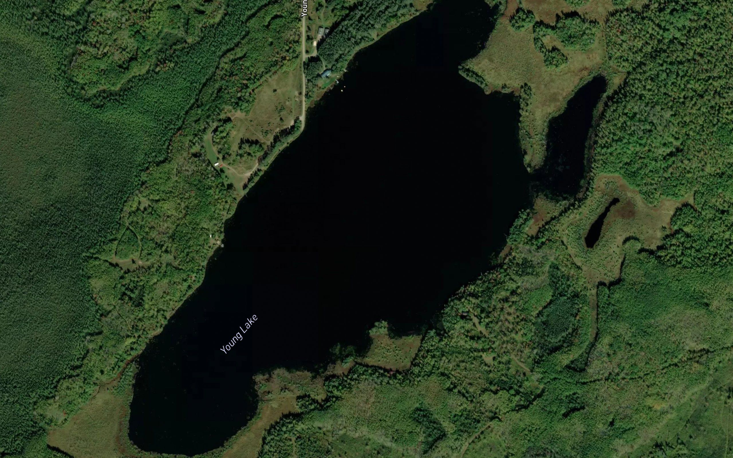 Young Lake