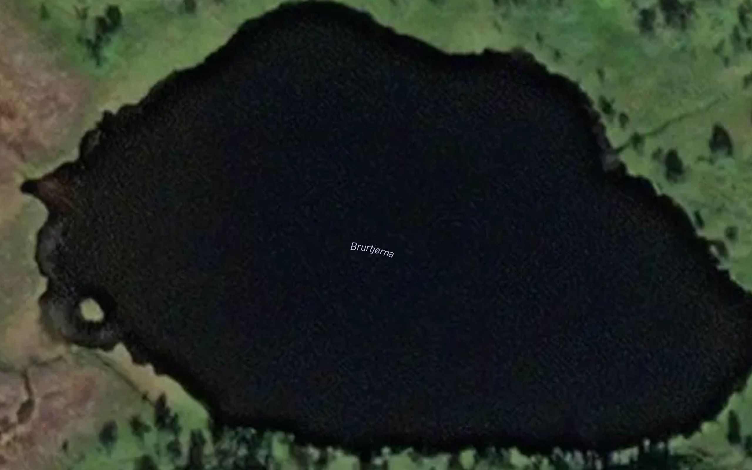 Brurtjorna
