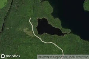 Lac Duck