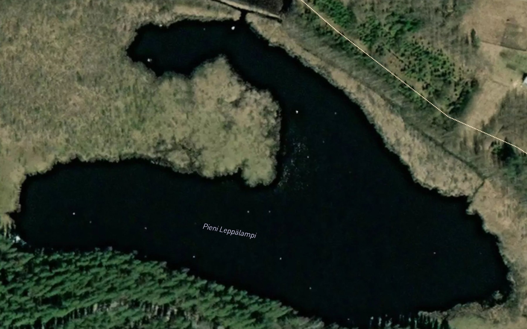 Satellite map of the Pieni Leppalampi