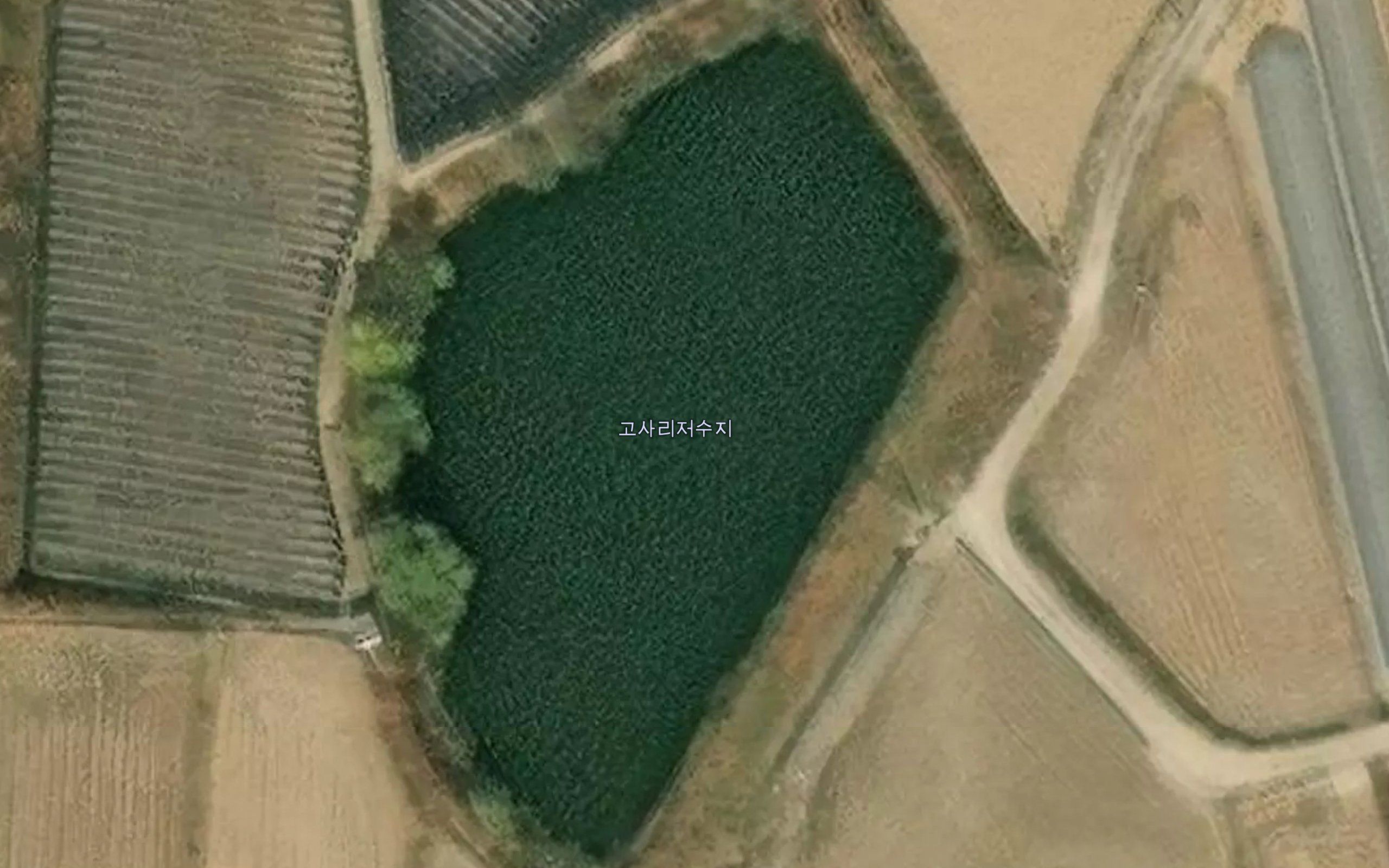 Gosarijeosuji