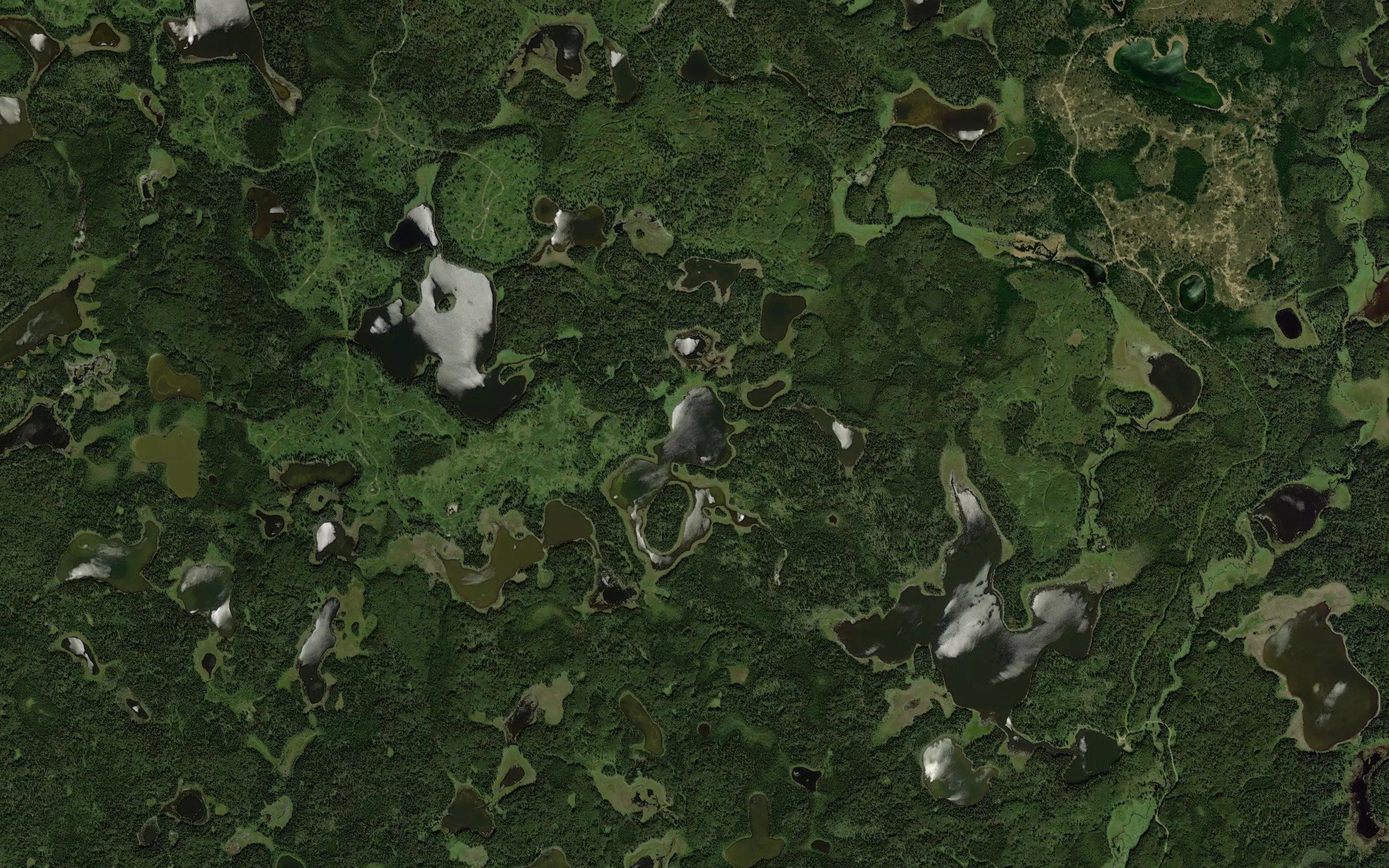 Sucker Lake