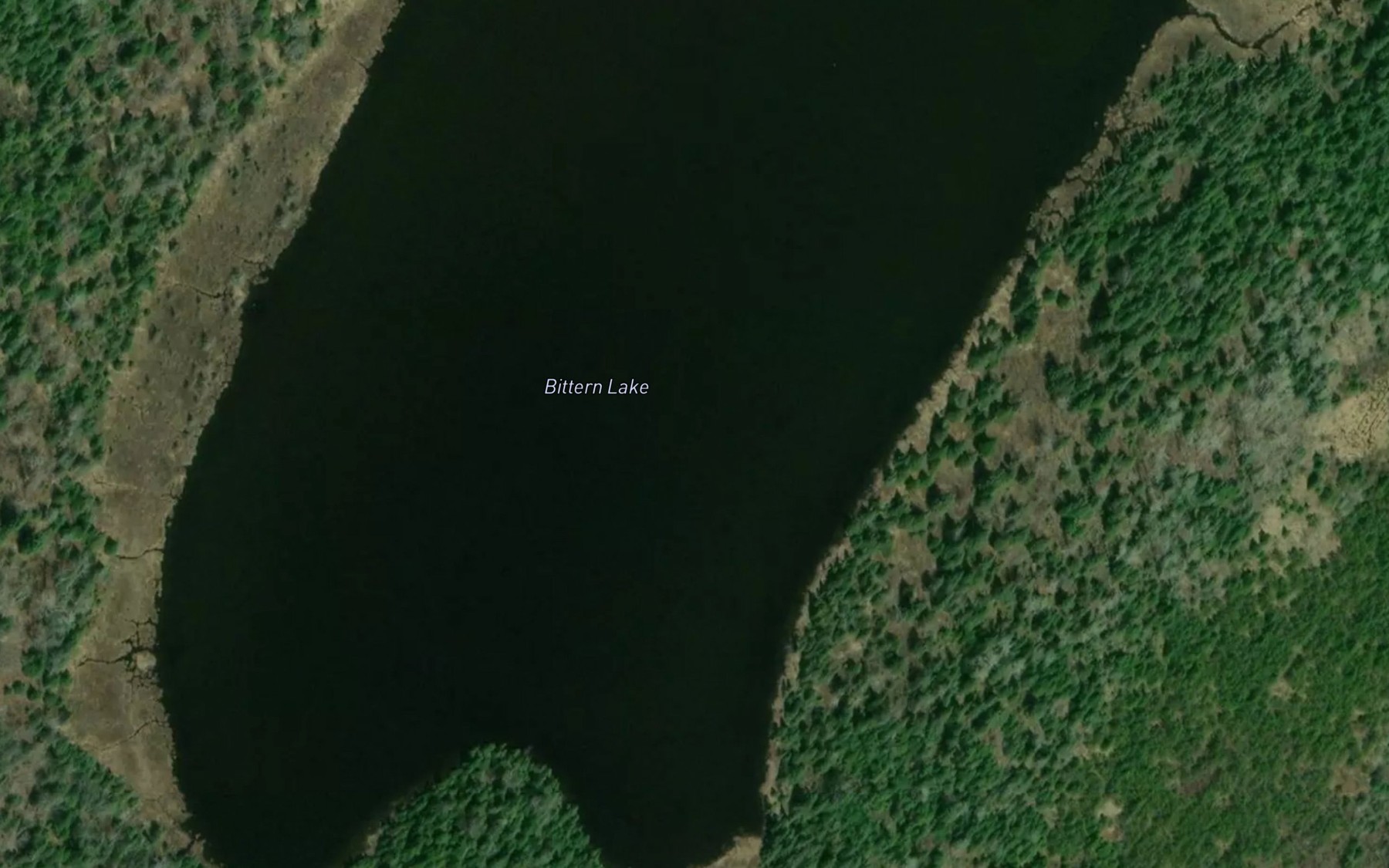 Satellite map of the Bittern Lake