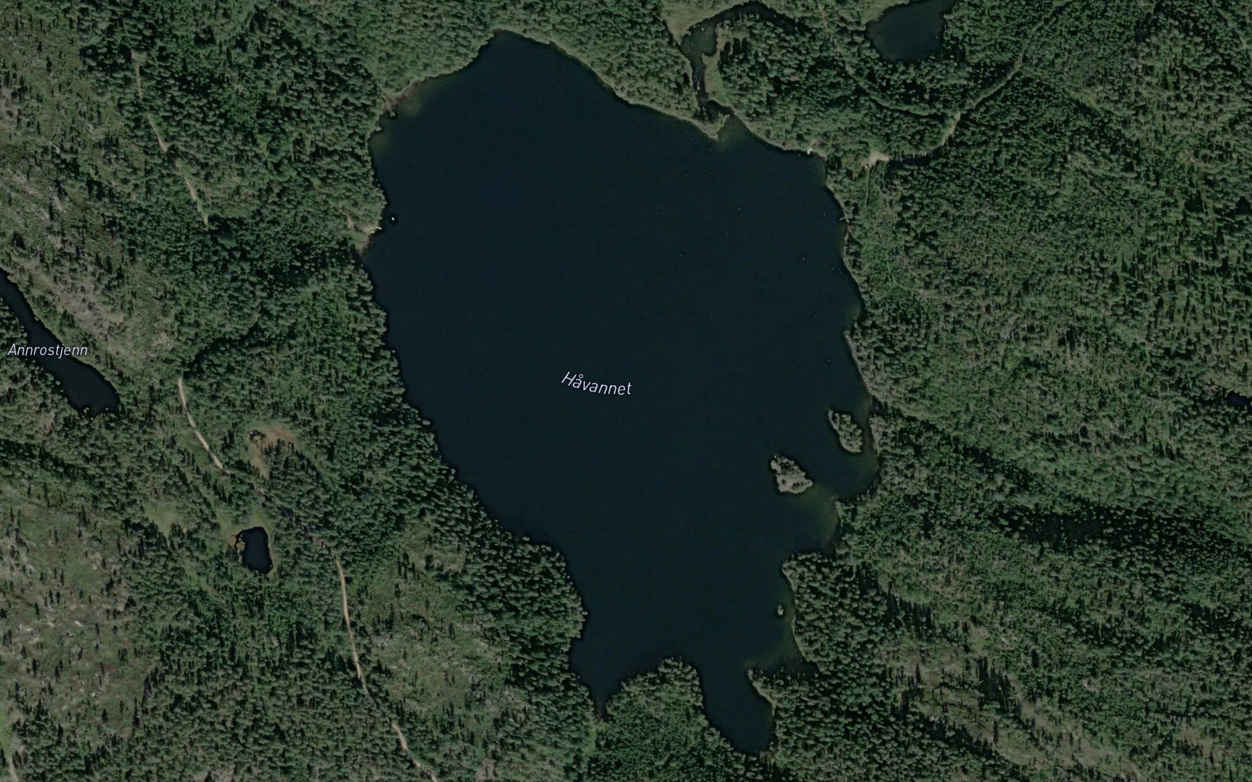 Havannet