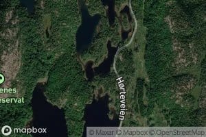 Midtvann