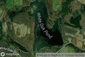 White Oak Pond