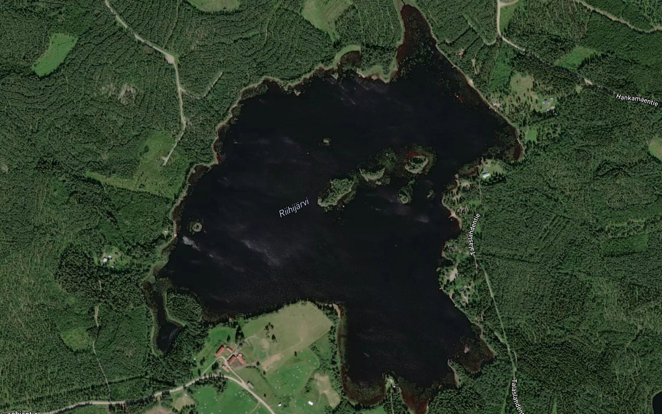 Riihijarvi