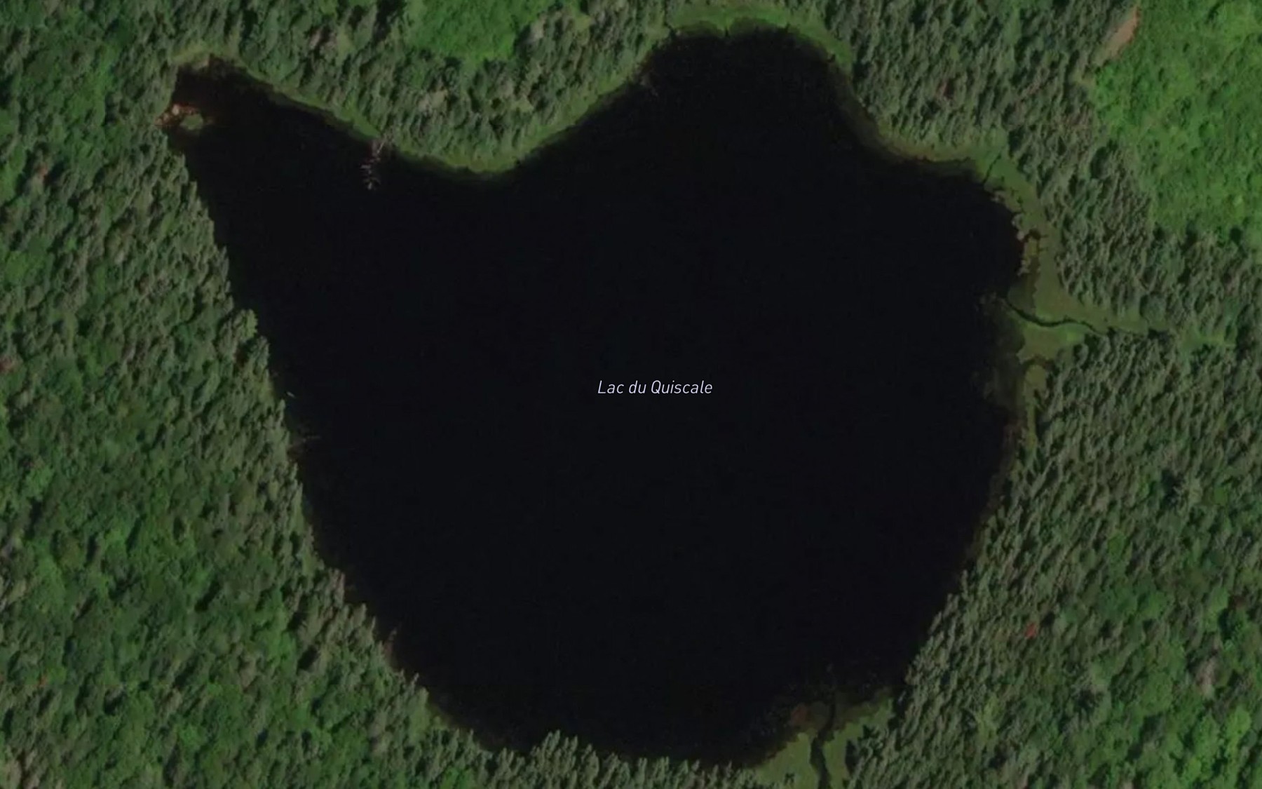 Satellite map of the Lac du Quiscale
