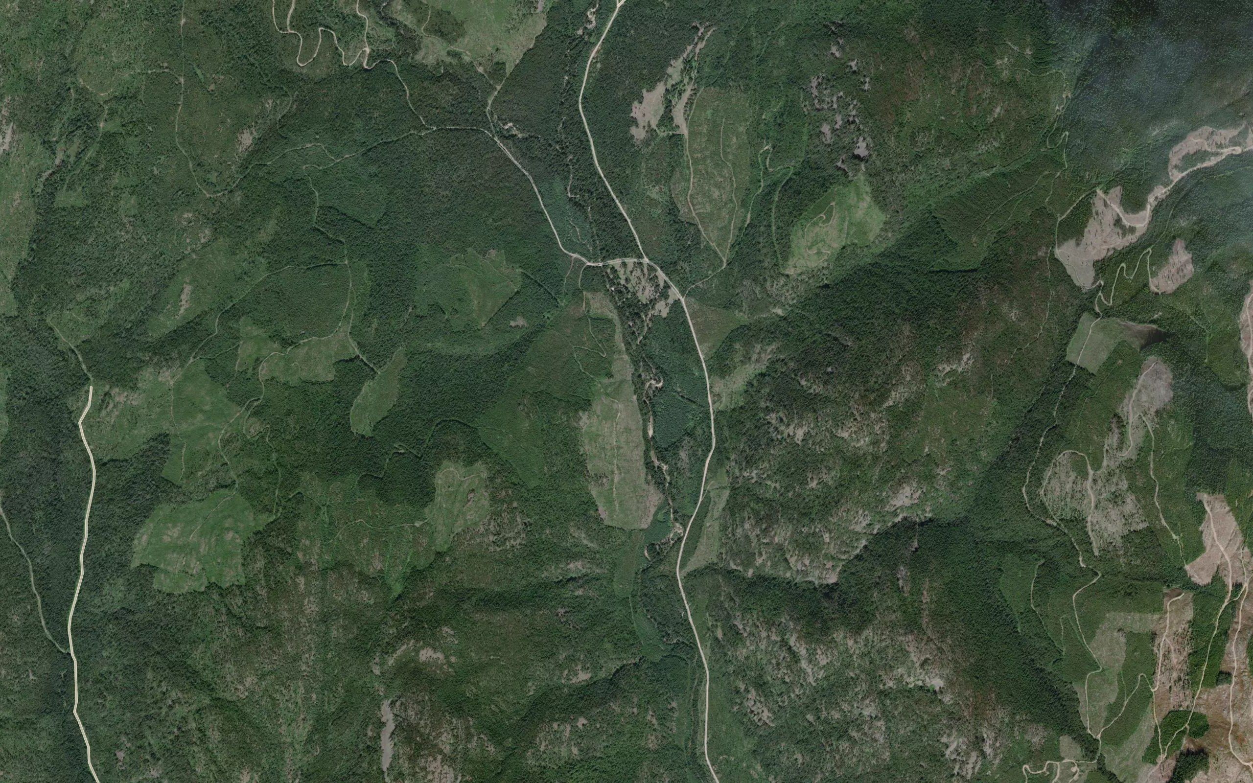 McFarlane Creek