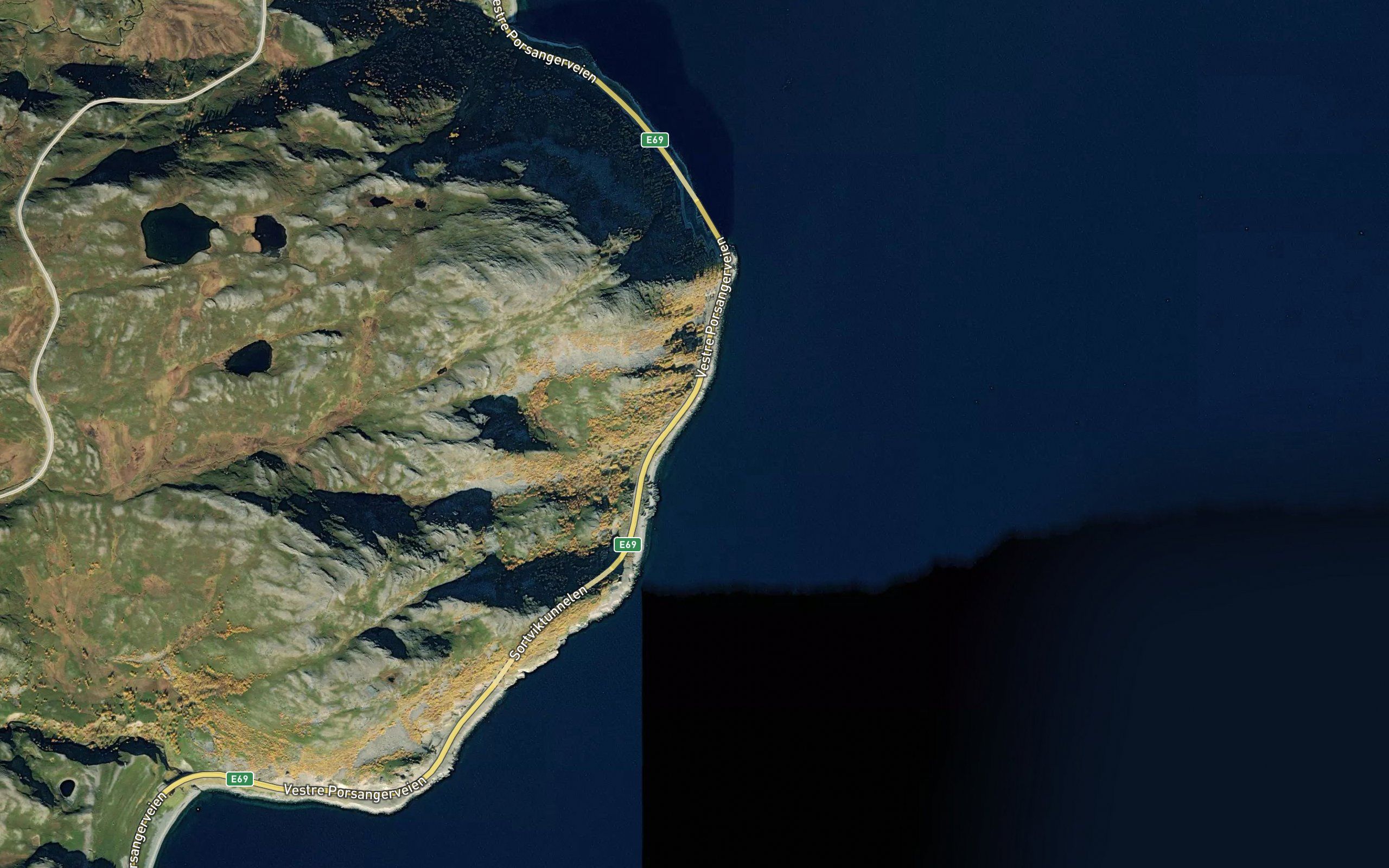 Floytvika