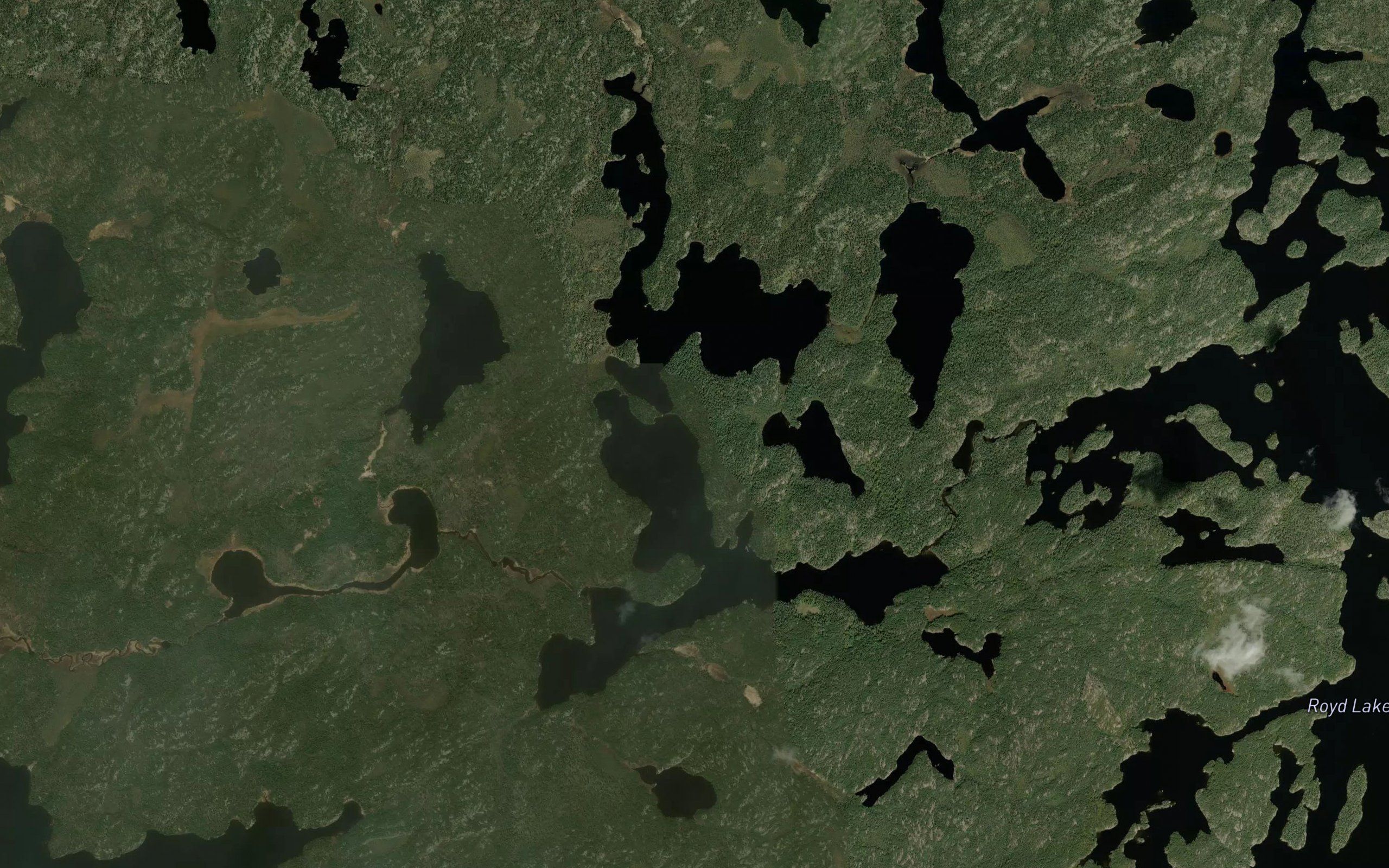 Kennedy Lake