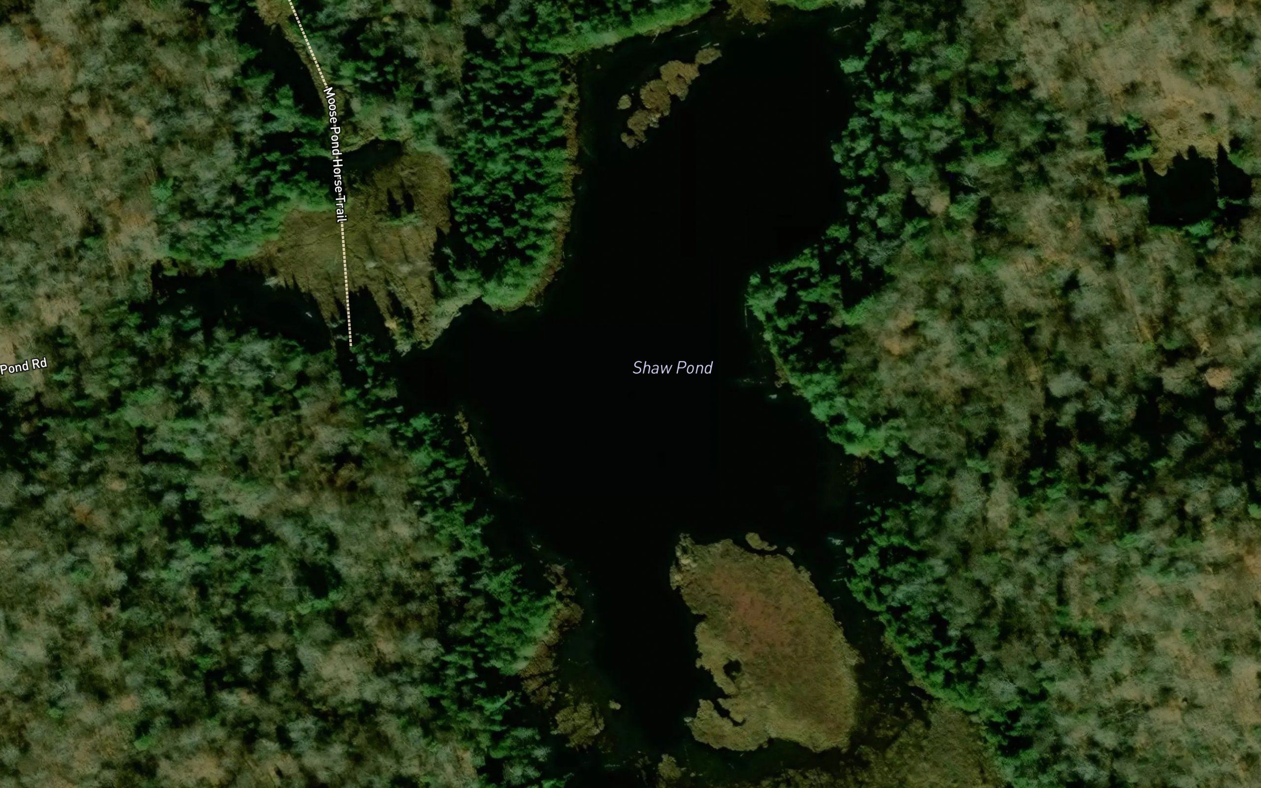 Shaw Pond