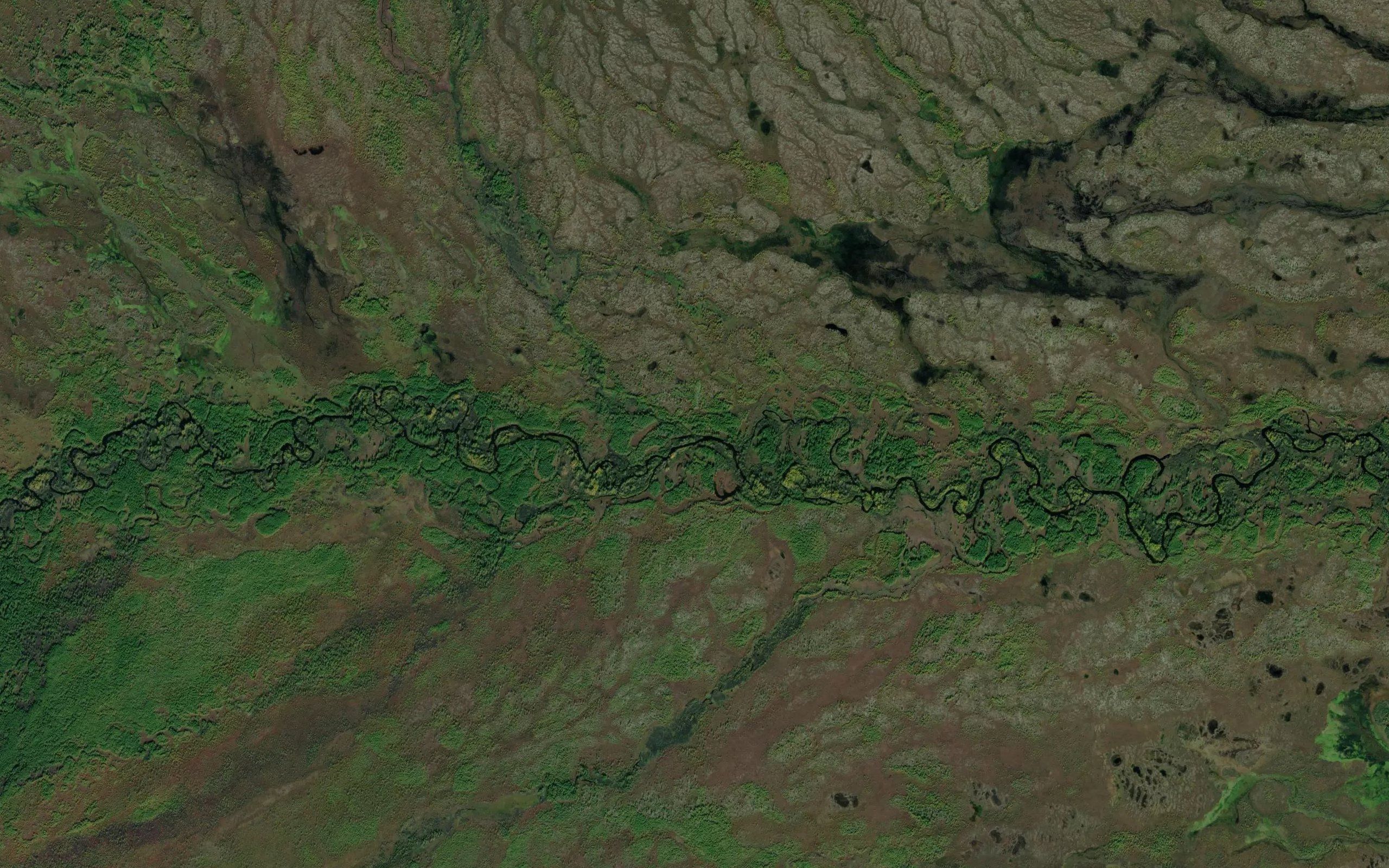 Uzkiy