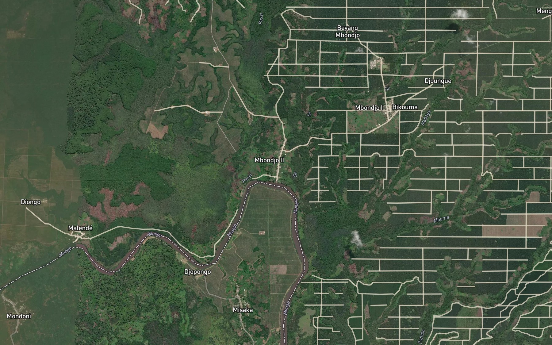 Satellite map of the Passi