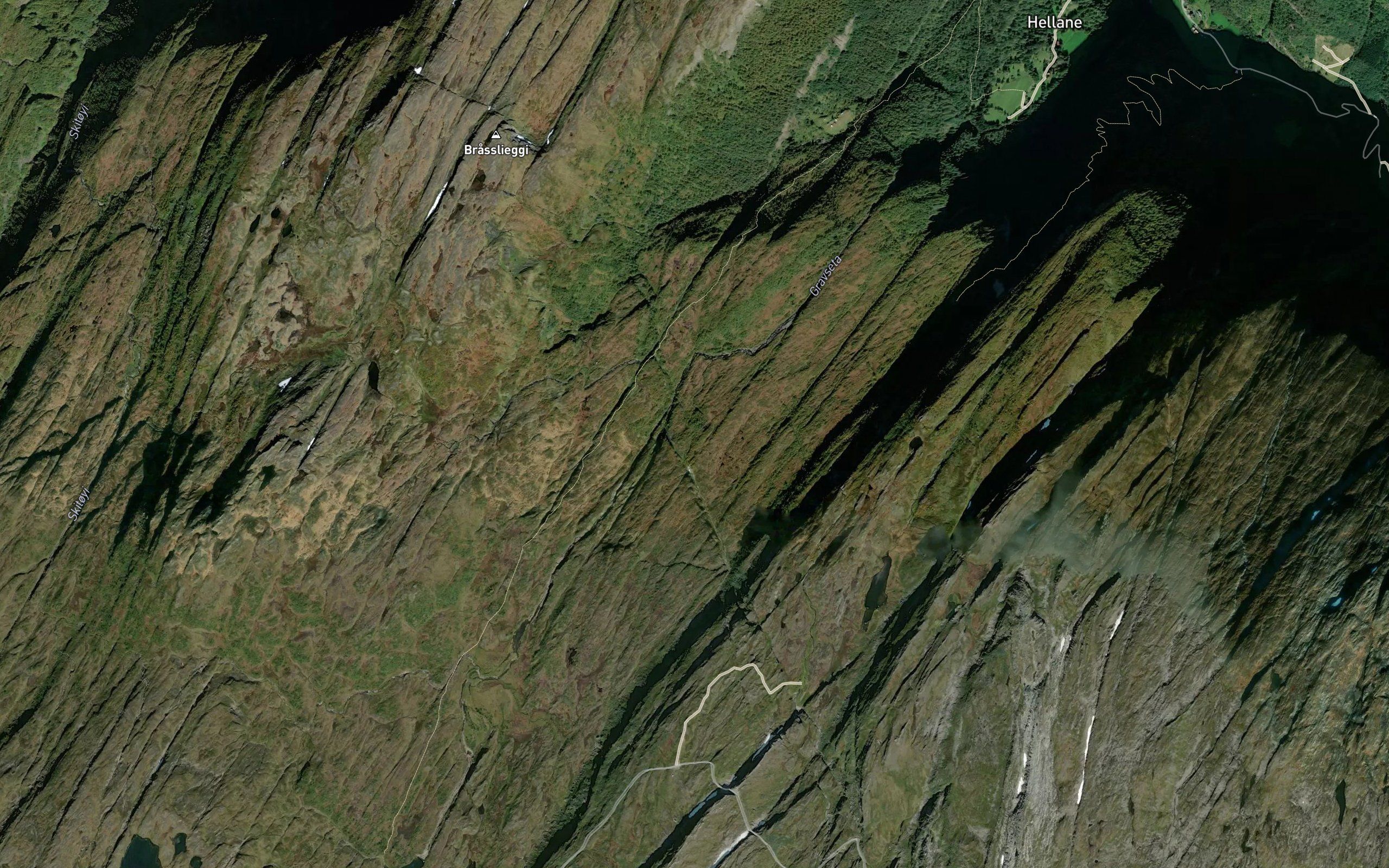 Gyltevad