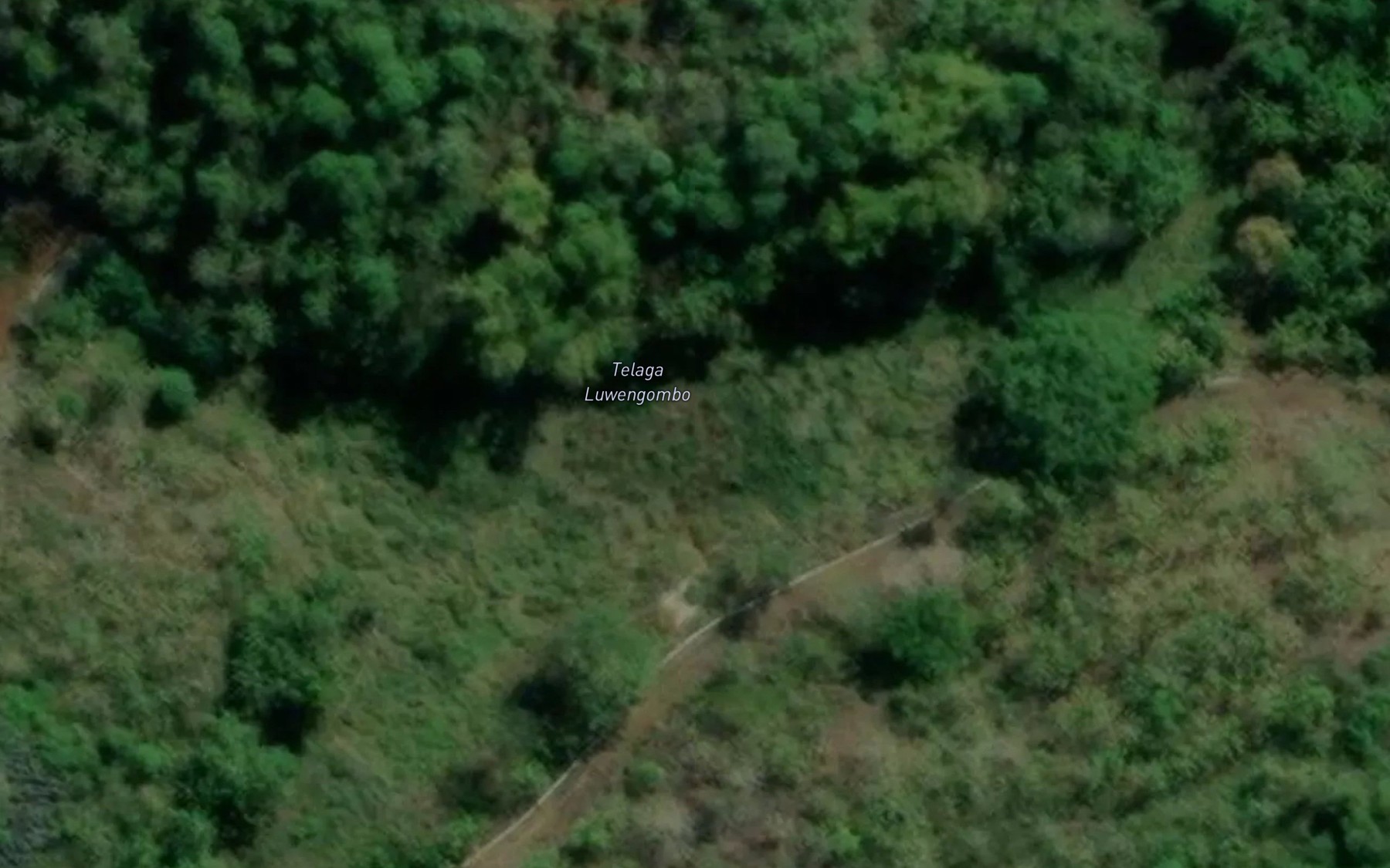 Satellite map of the Telaga Luwengombo
