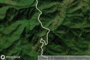 Maple Springs Branch