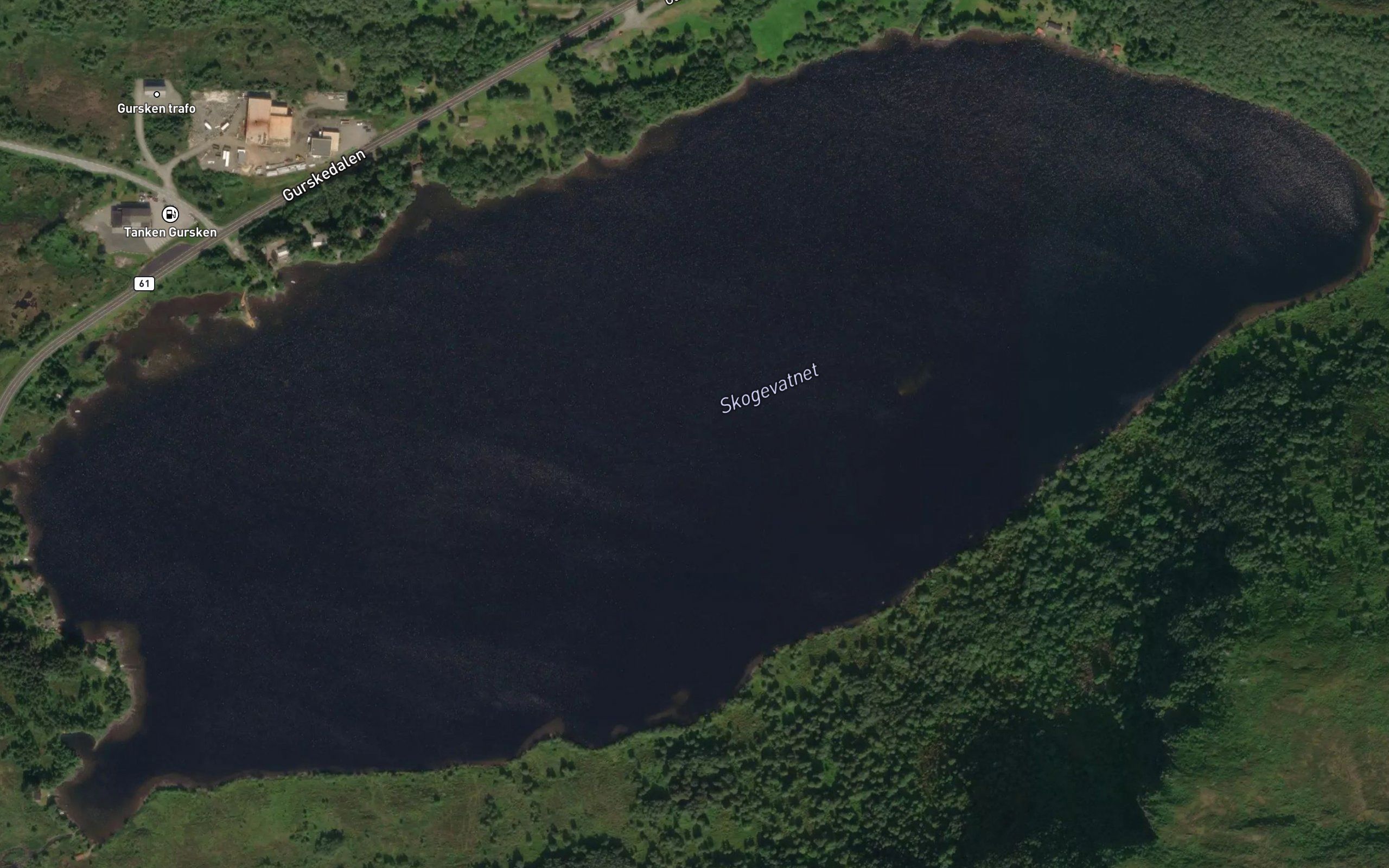 Skogevatnet