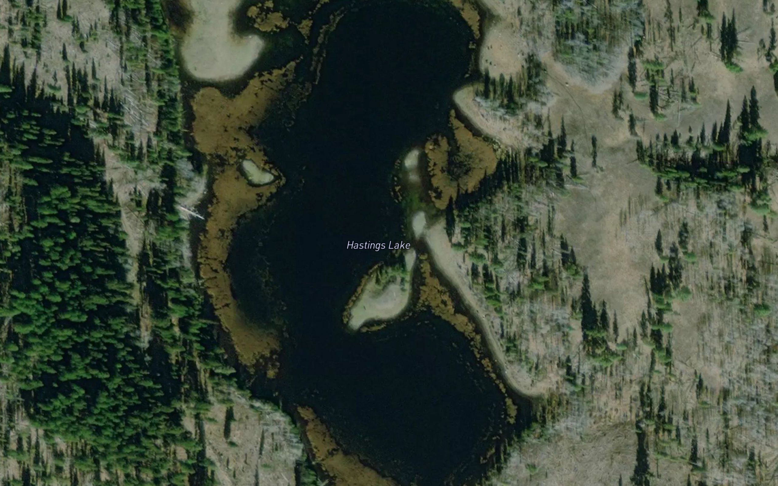 Hastings Lake